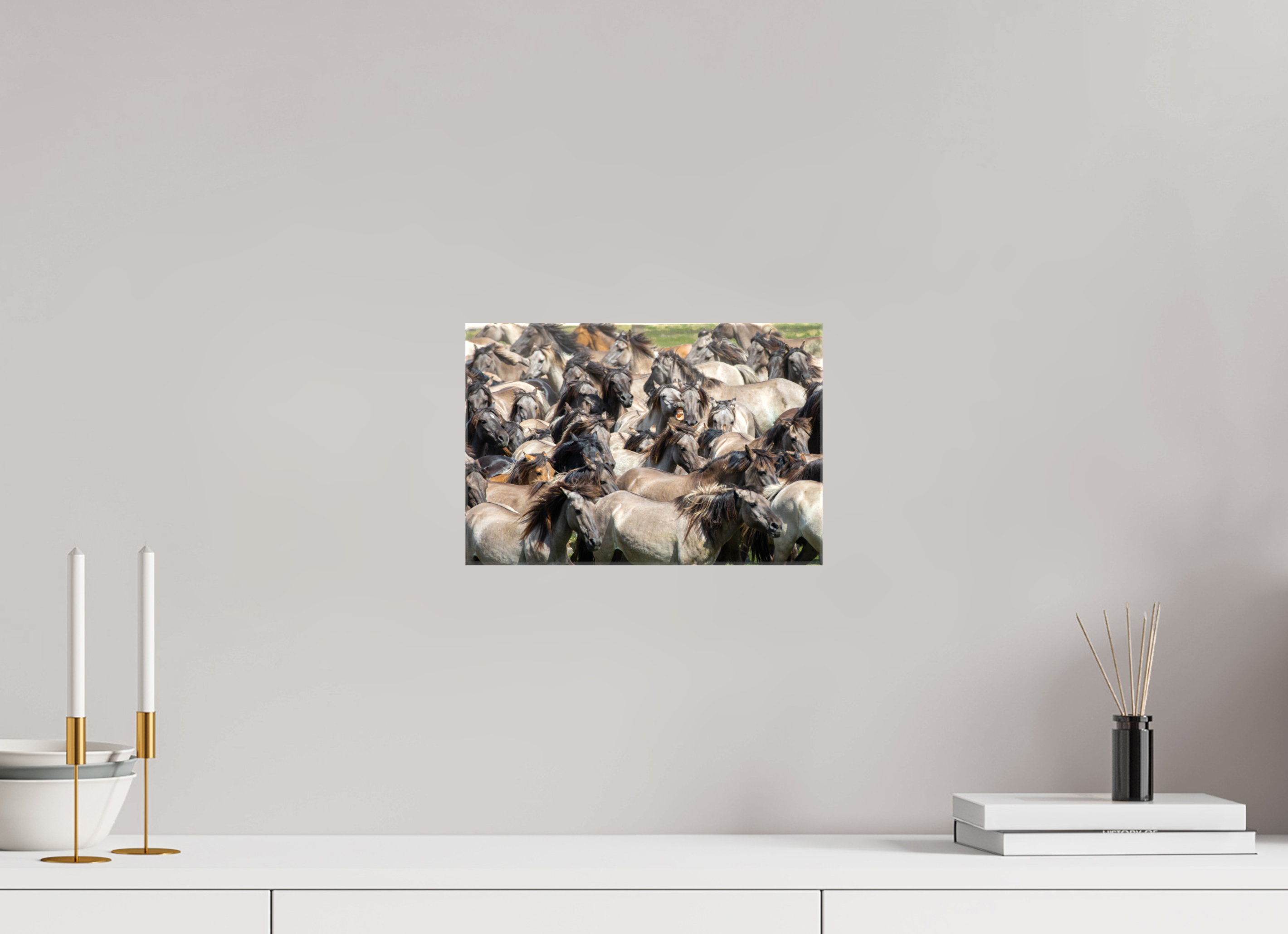 30 x 20 cm, Foto Leinwand glänzend Wieherndes Wildpferd