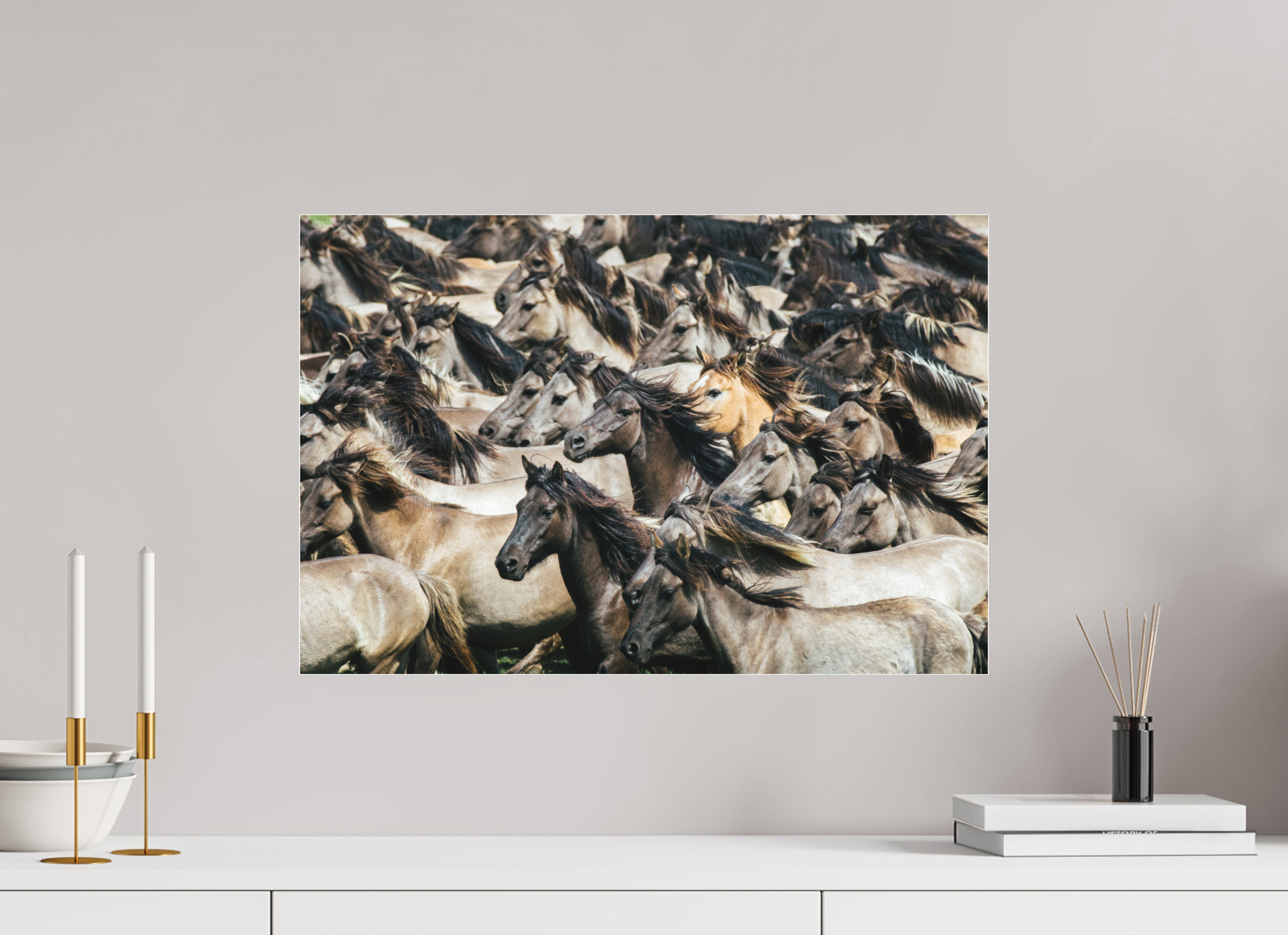 60 x 40 cm, Foto-Abzug hinter Acrylglas 3 mm matt Wildpferde
