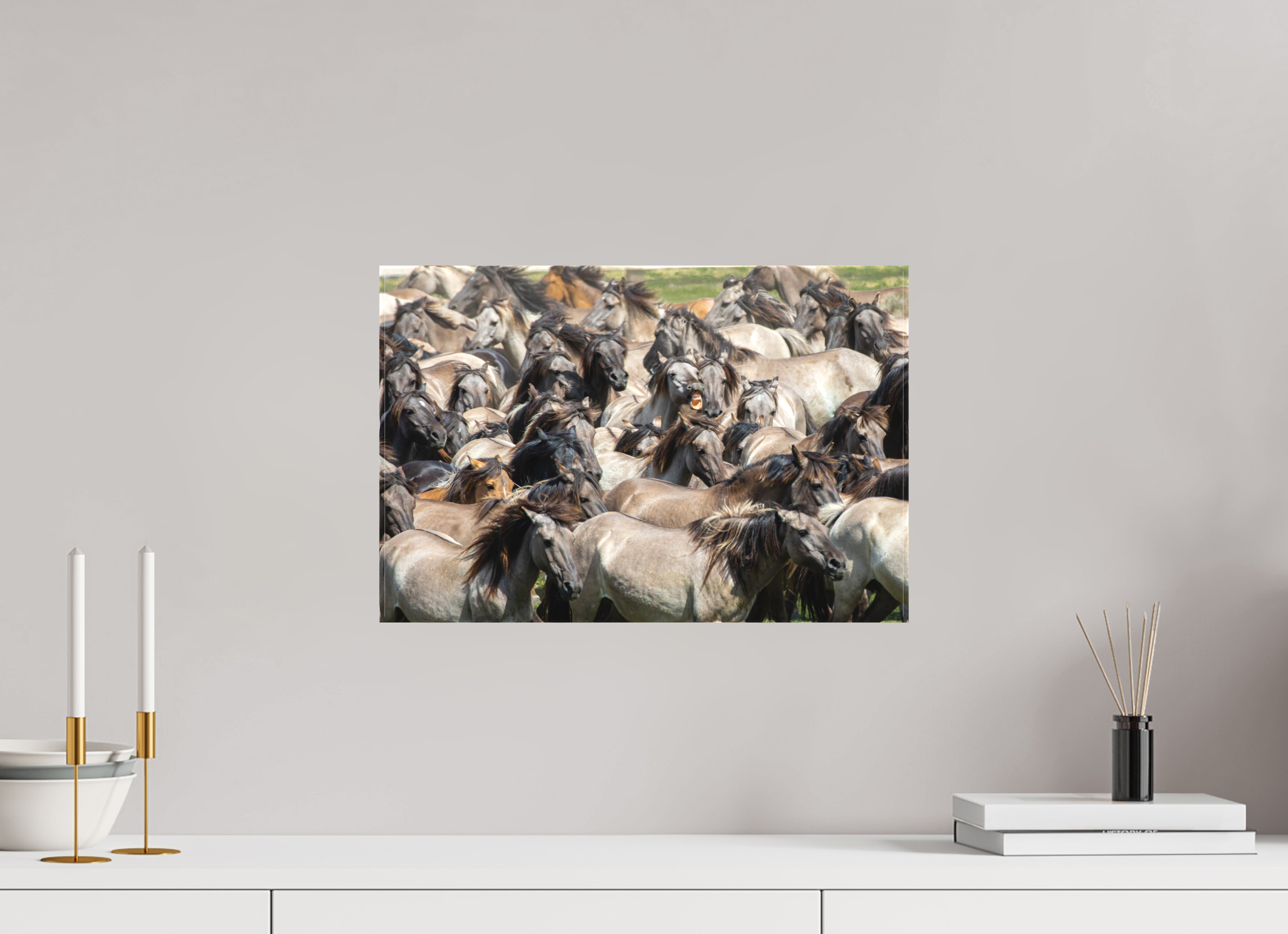 45 x 30 cm, Foto-Leinwand matt Wieherndes Wildpferd