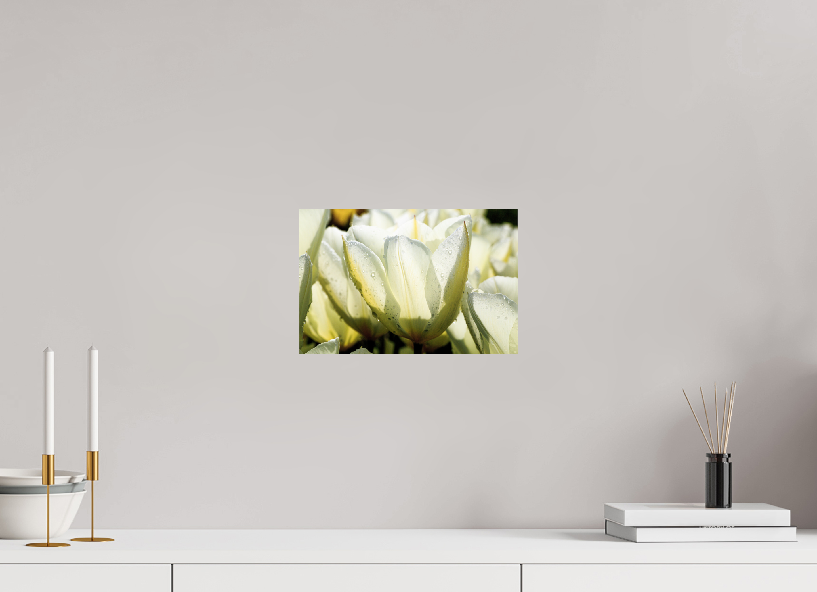 30 x 20 cm, Photo Print Under Acrylic Glass Morgentau auf Tulpen-Blütenblättern