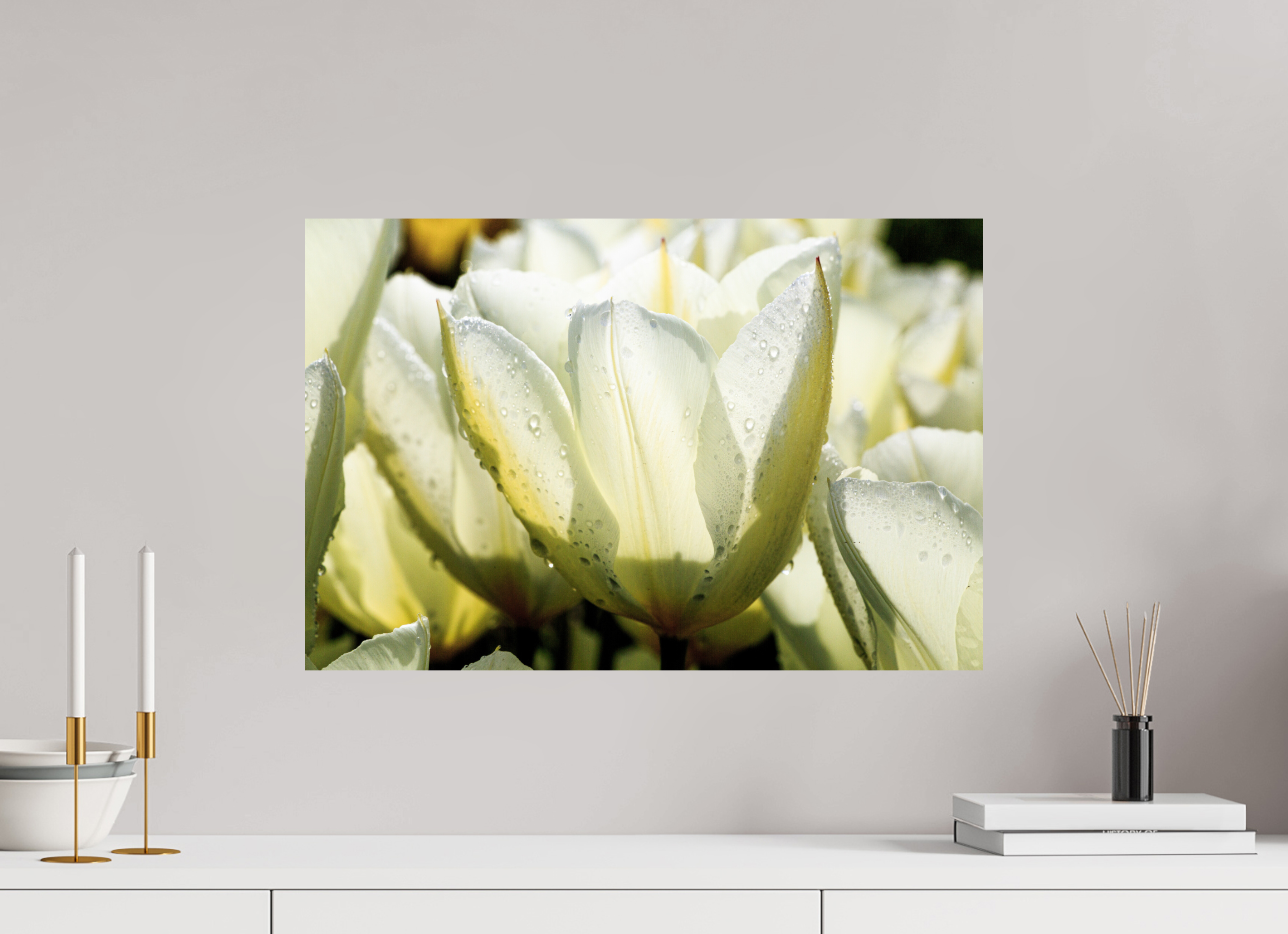 60 x 40 cm, Photo Print On Fuji Crystal DP II Morgentau auf Tulpen-Blütenblättern