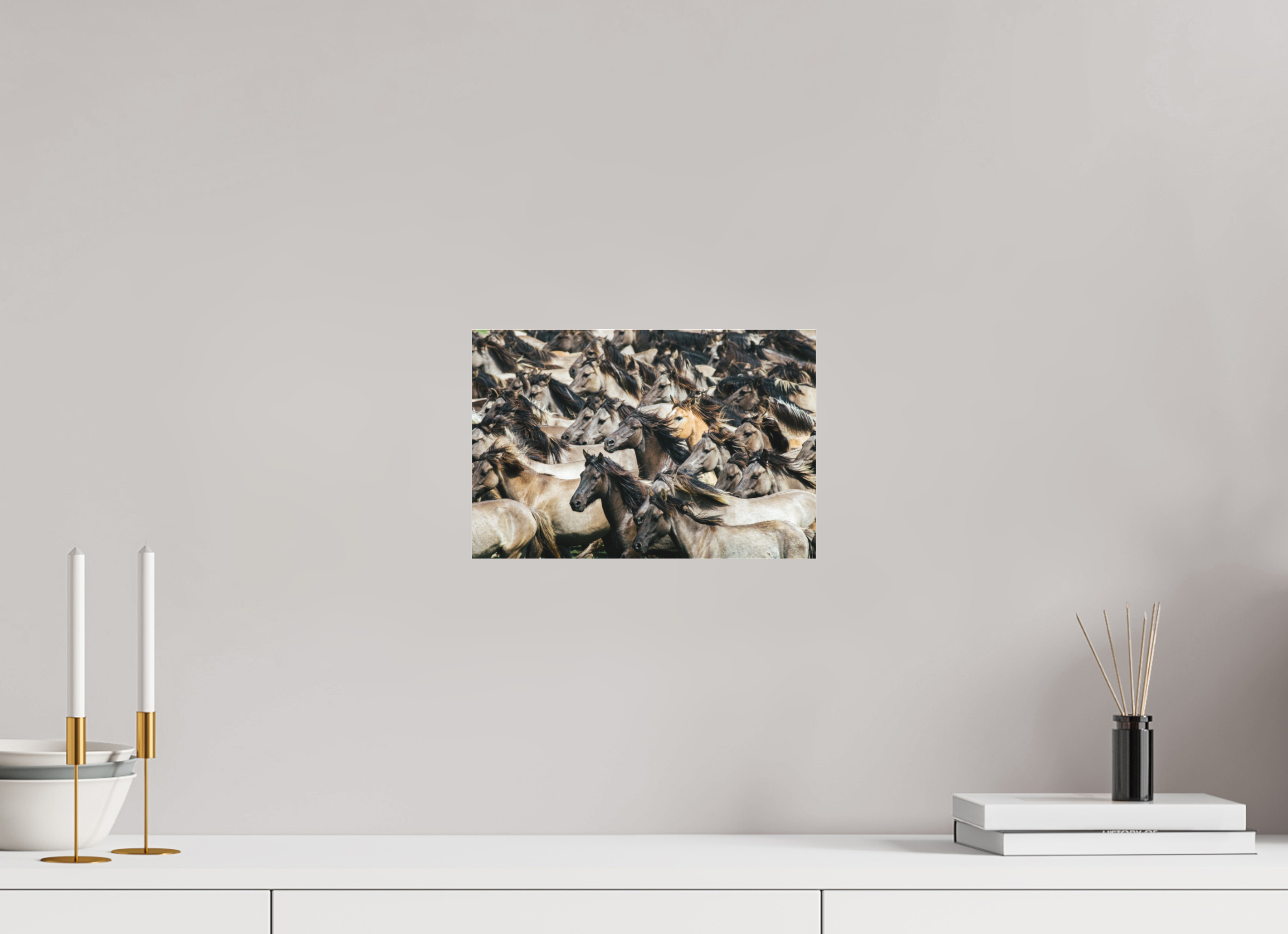 30 x 20 cm, Foto-Abzug hinter Acrylglas 3 mm matt Wildpferde