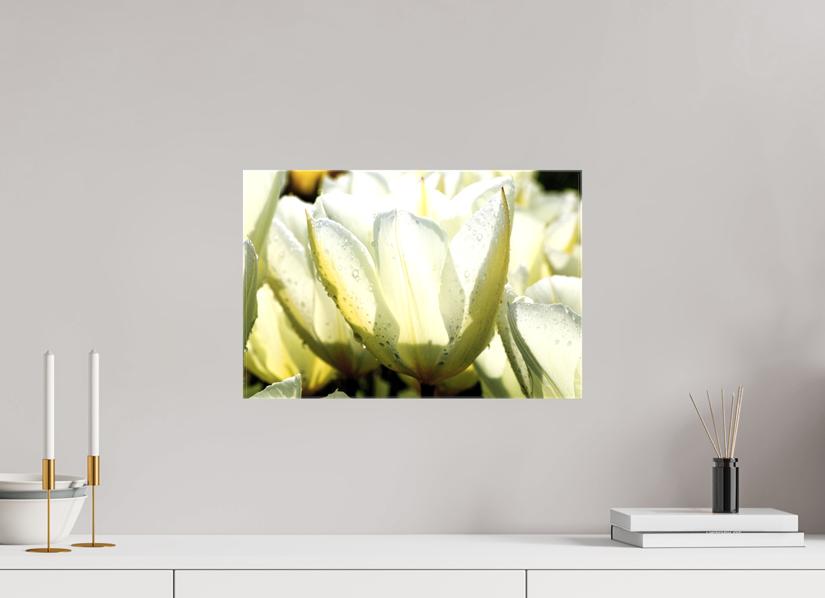 45 x 30 cm, Foto Leinwand glänzend Morgentau auf Tulpen-Blütenblättern