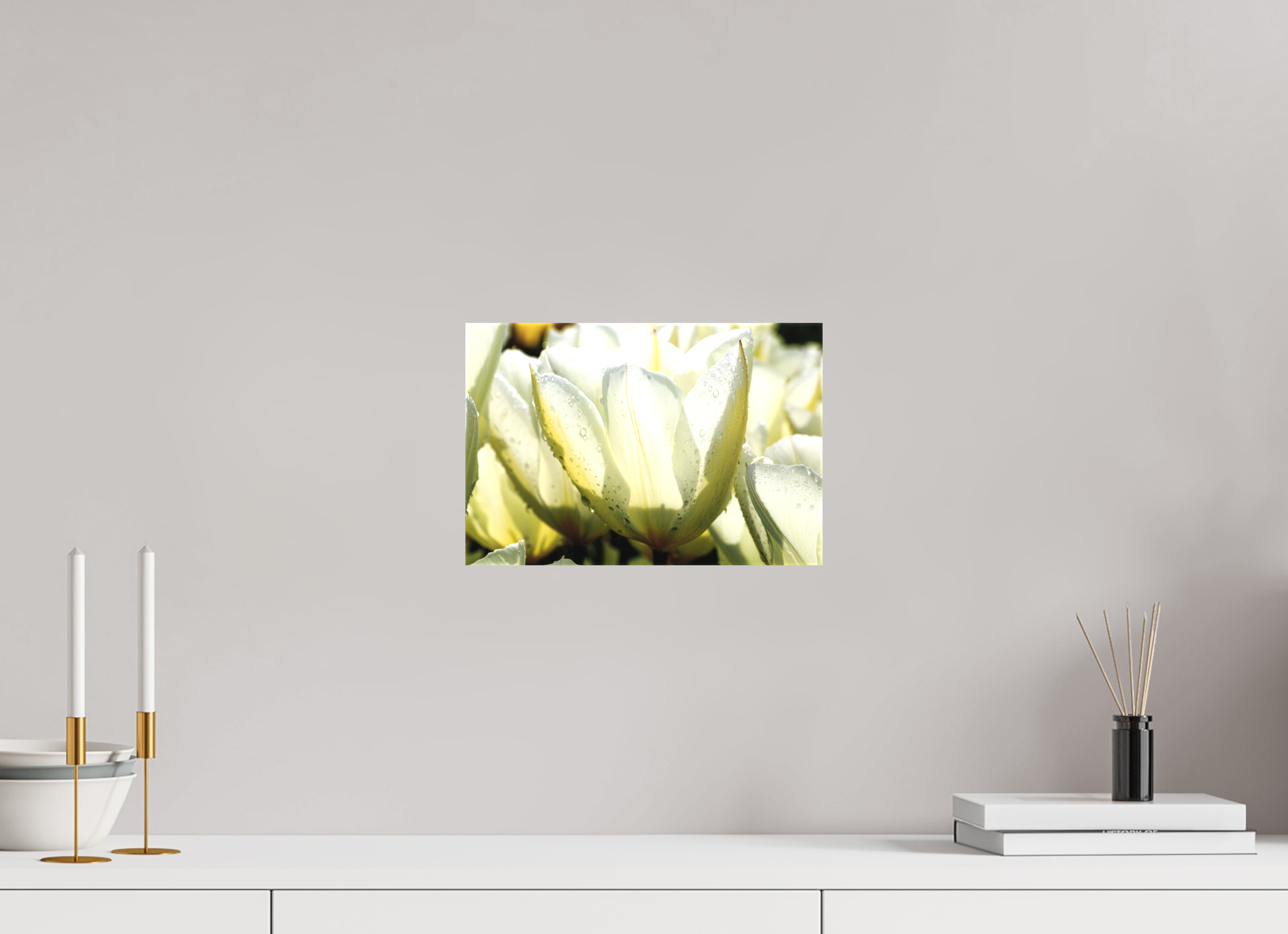 30 x 20 cm, Foto-Leinwand matt Morgentau auf Tulpen-Blütenblättern