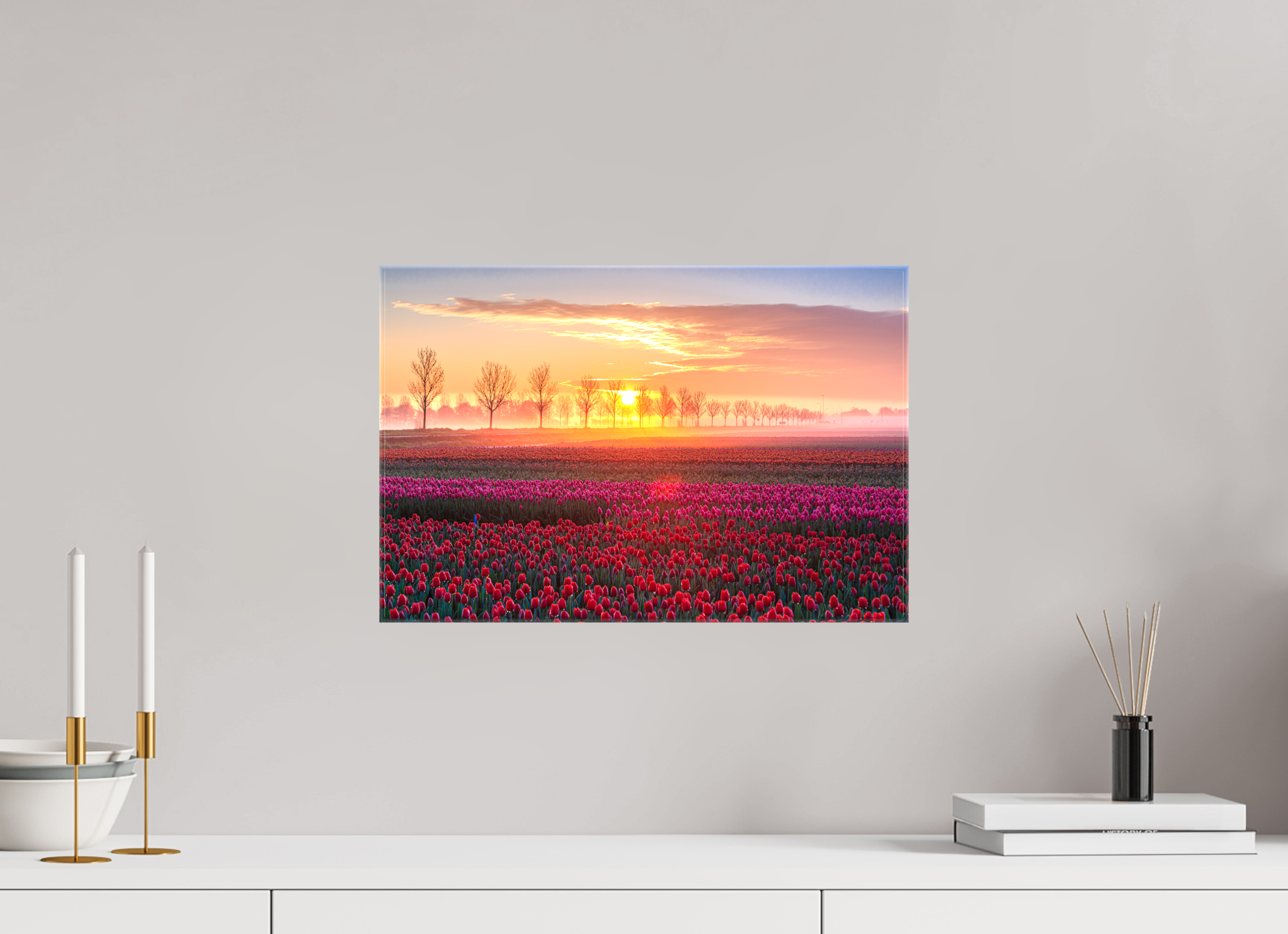 45 x 30 cm, Foto Leinwand glänzend Sonnenaufgang über dem Tulpfenfeld