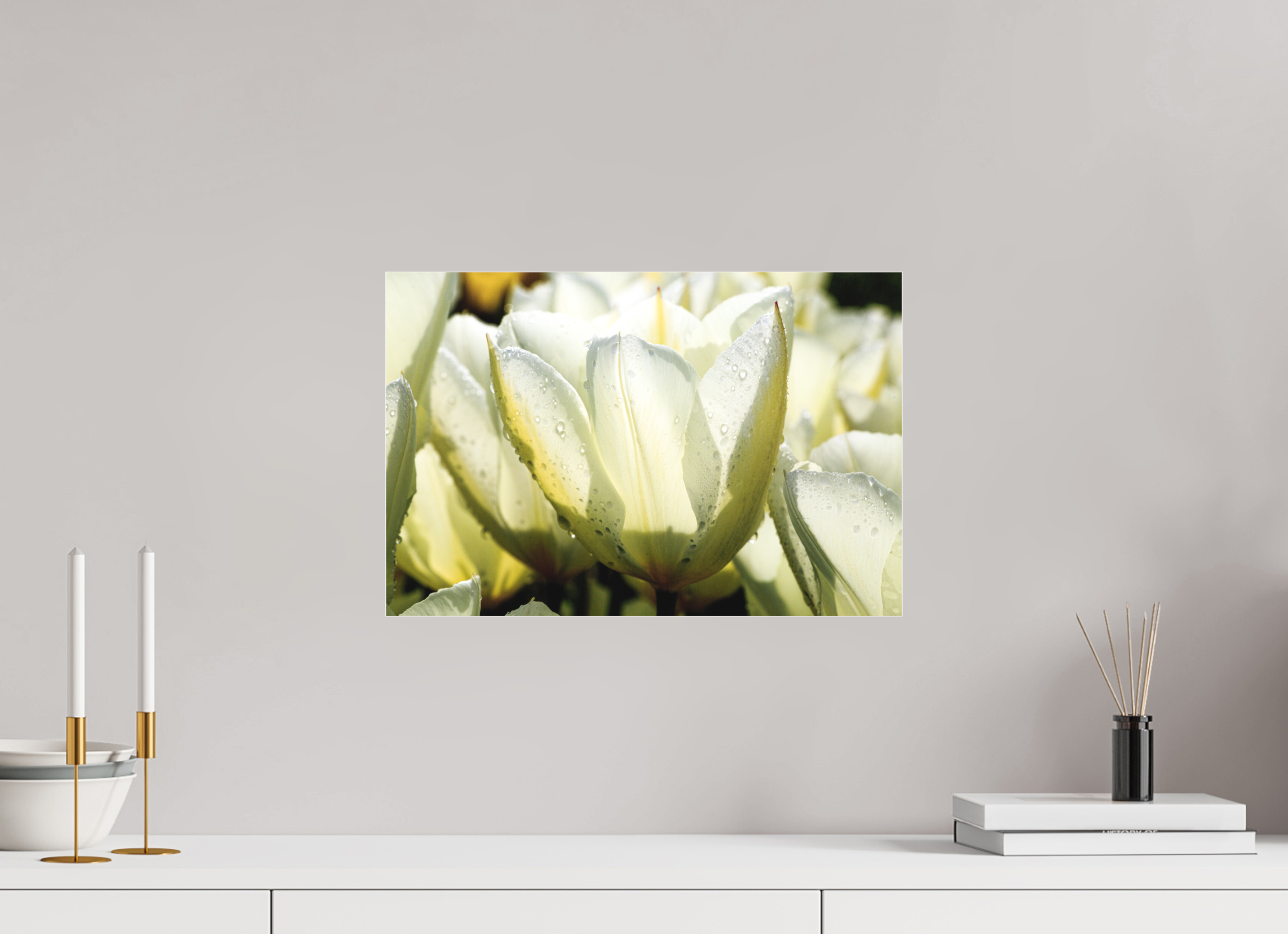 45 x 30 cm, Foto-Abzug hinter Acrylglas 3 mm matt Morgentau auf Tulpen-Blütenblättern