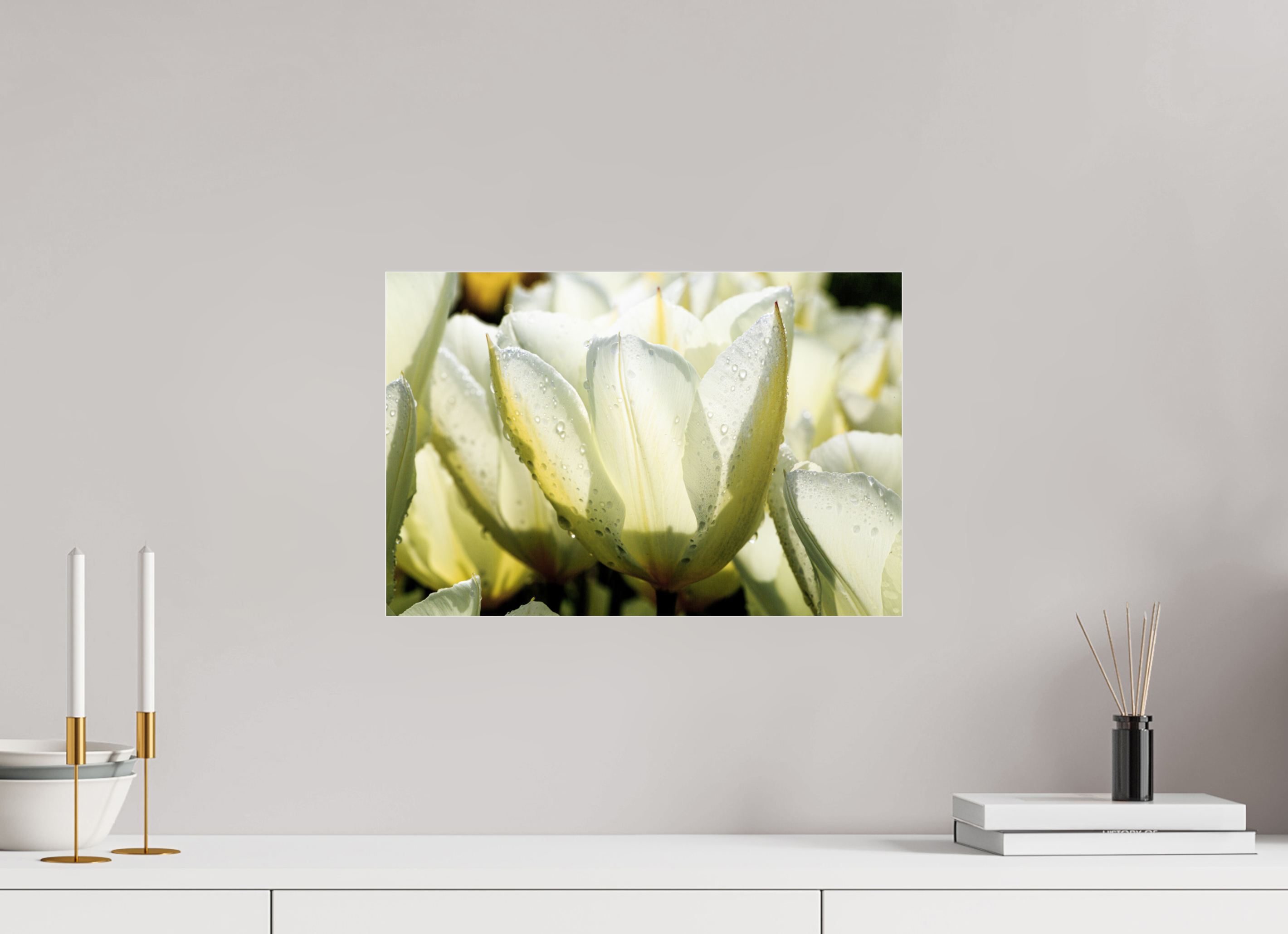 45 x 30 cm, Photo Print Under Acrylic Glass Morgentau auf Tulpen-Blütenblättern