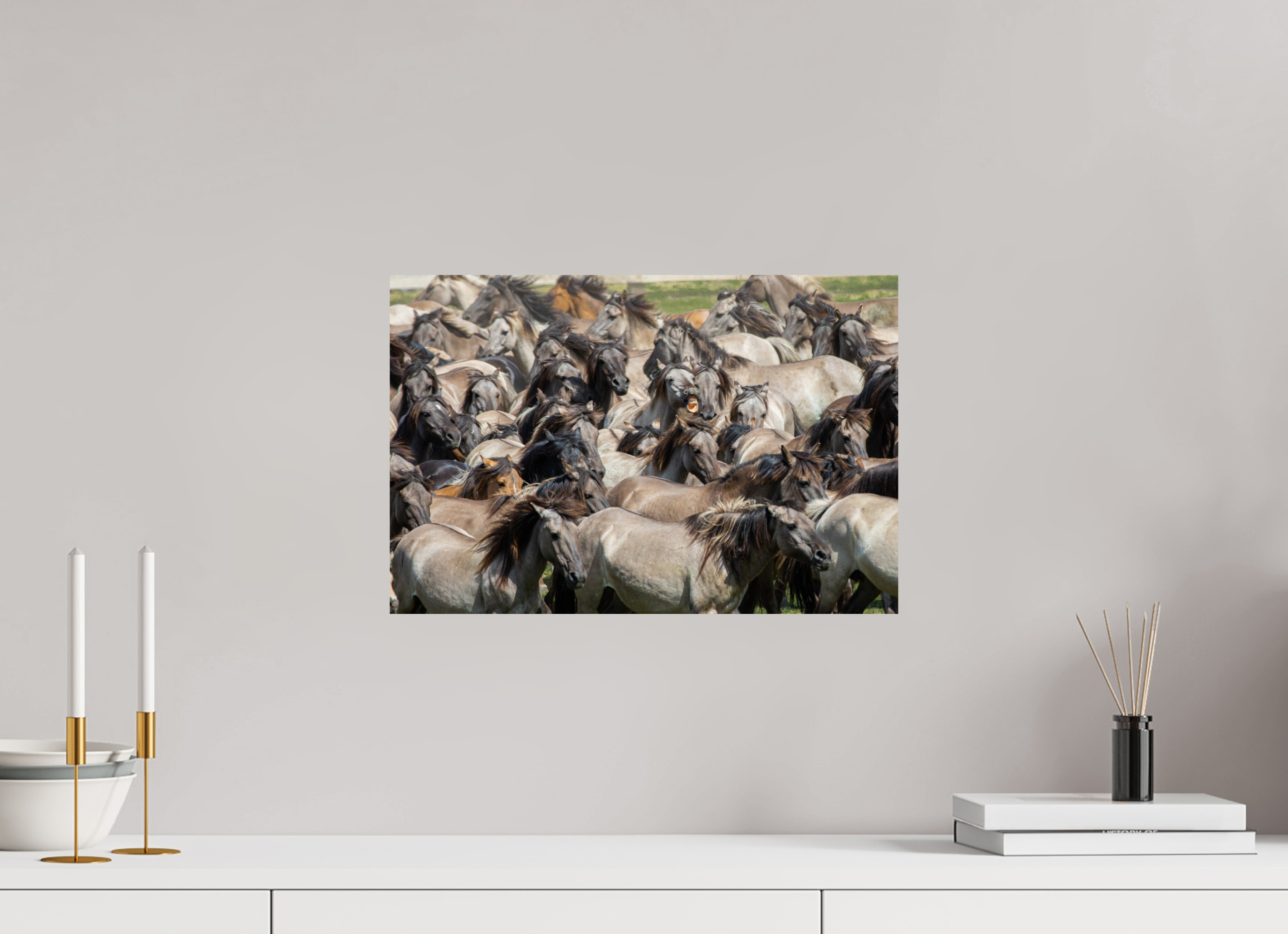45 x 30 cm, Photo Print On Fuji Crystal DP II Wieherndes Wildpferd