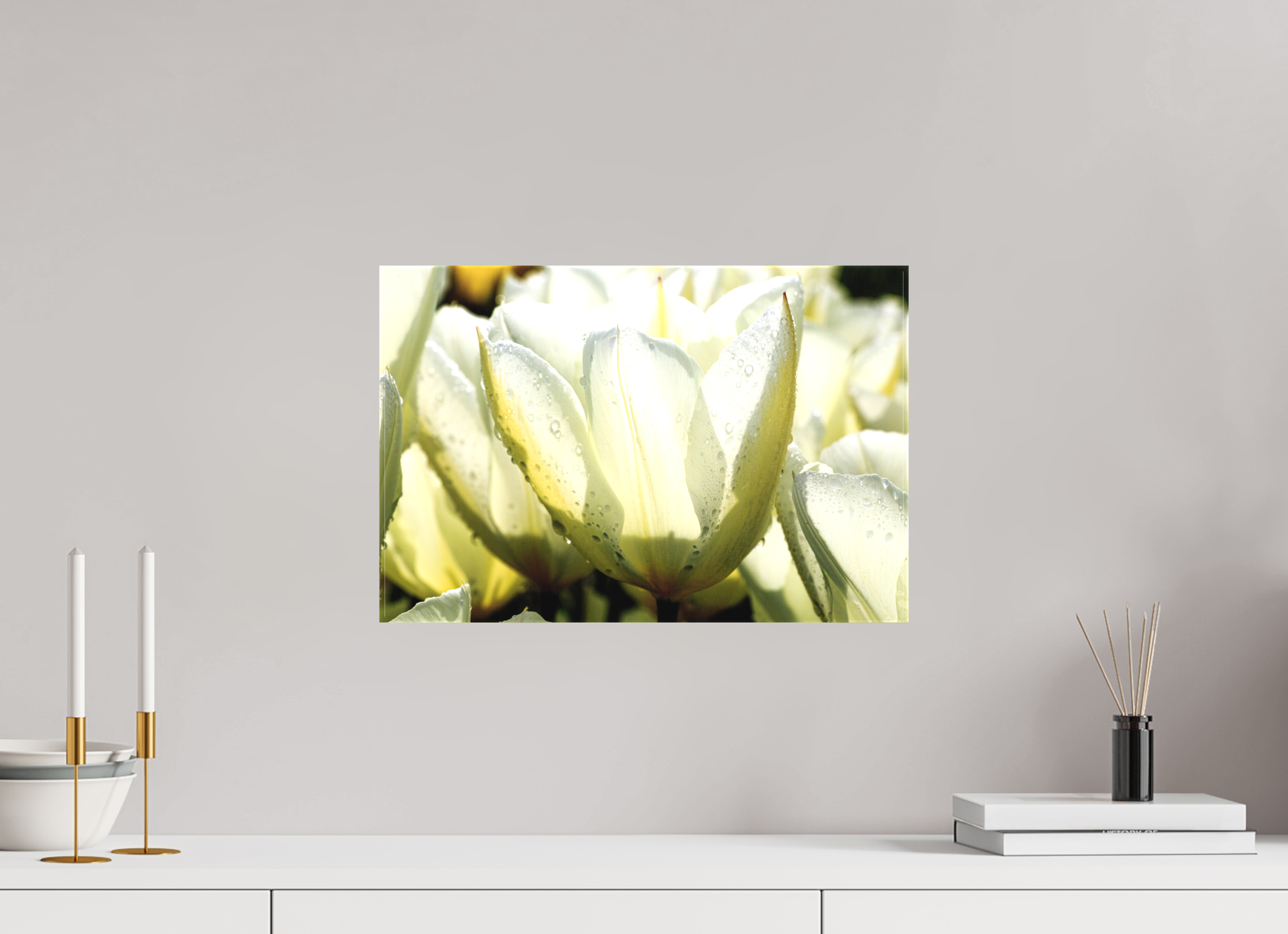 45 x 30 cm, Foto-Leinwand matt Morgentau auf Tulpen-Blütenblättern
