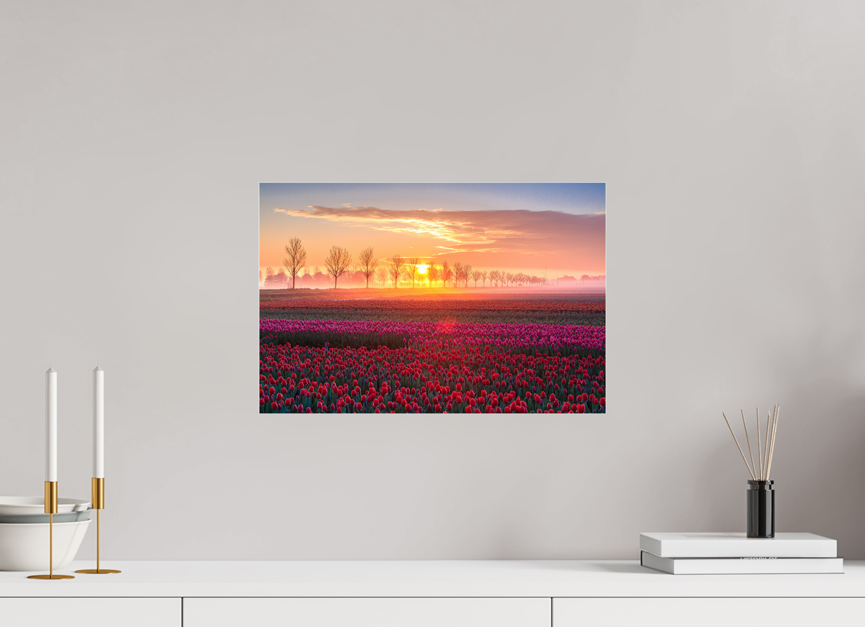 45 x 30 cm, Photo Print Under Acrylic Glass Sonnenaufgang über dem Tulpfenfeld