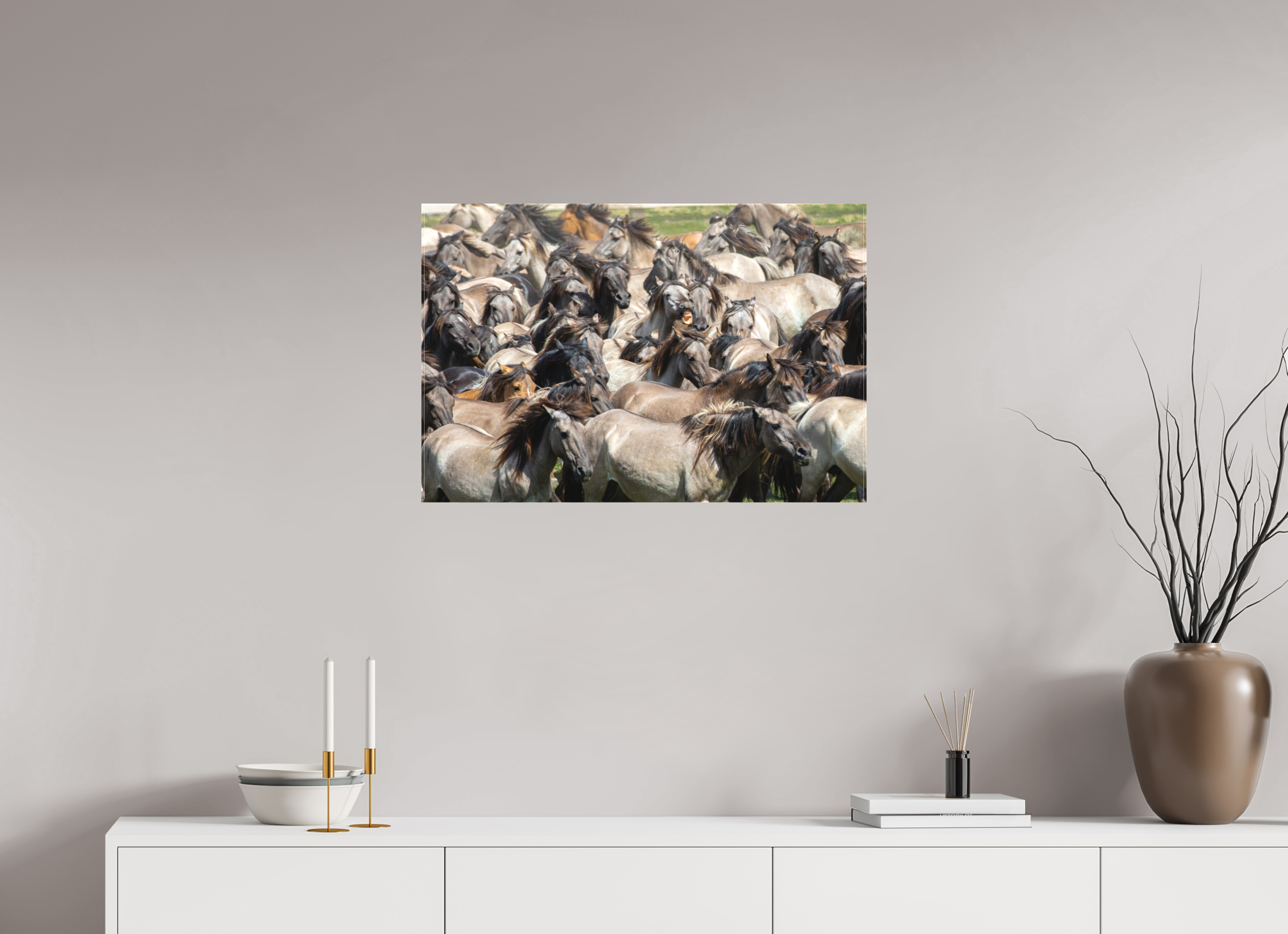 75 x 50 cm, Foto-Leinwand matt Wieherndes Wildpferd