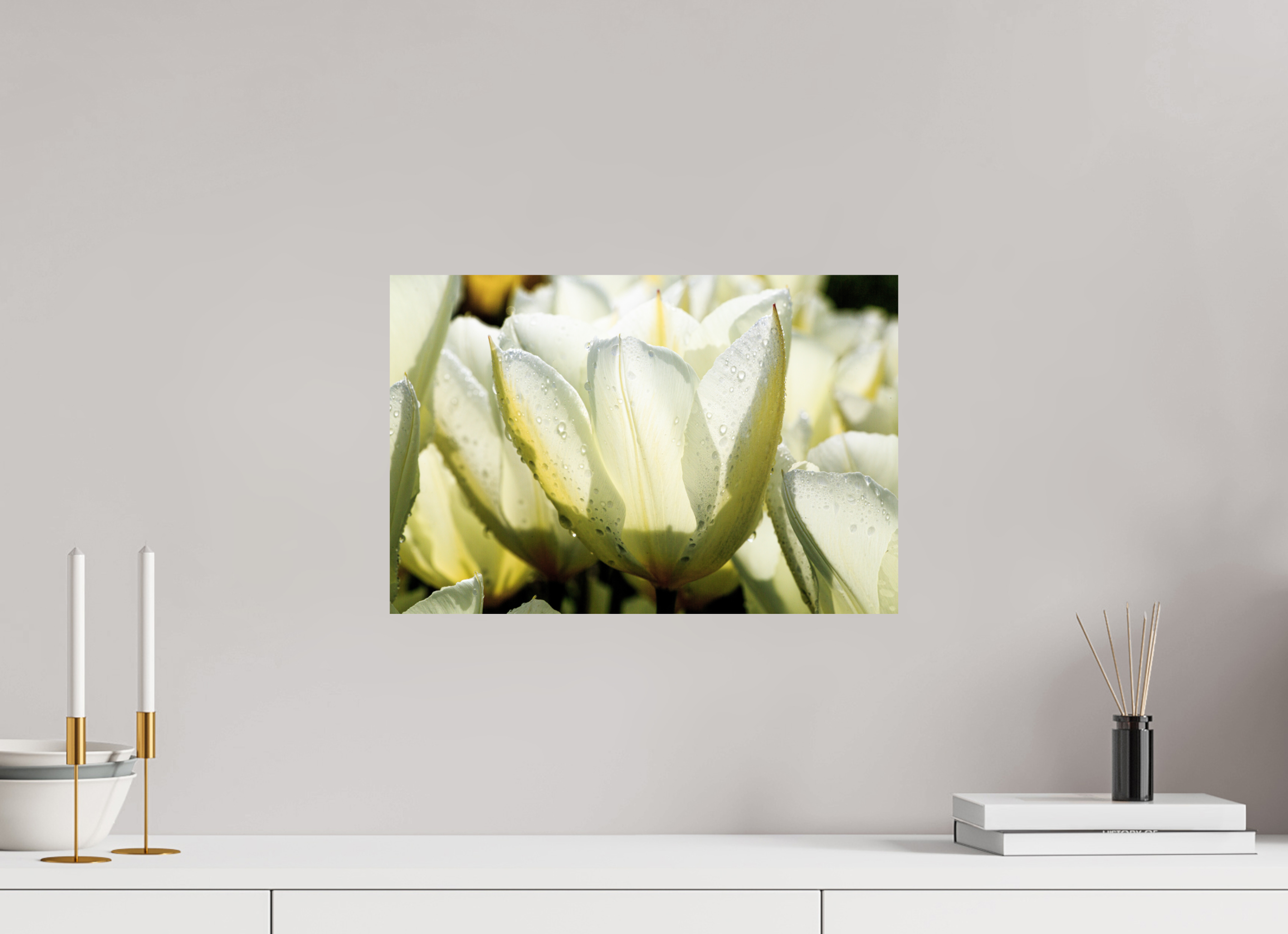 45 x 30 cm, Photo Print On Fuji Crystal DP II Morgentau auf Tulpen-Blütenblättern