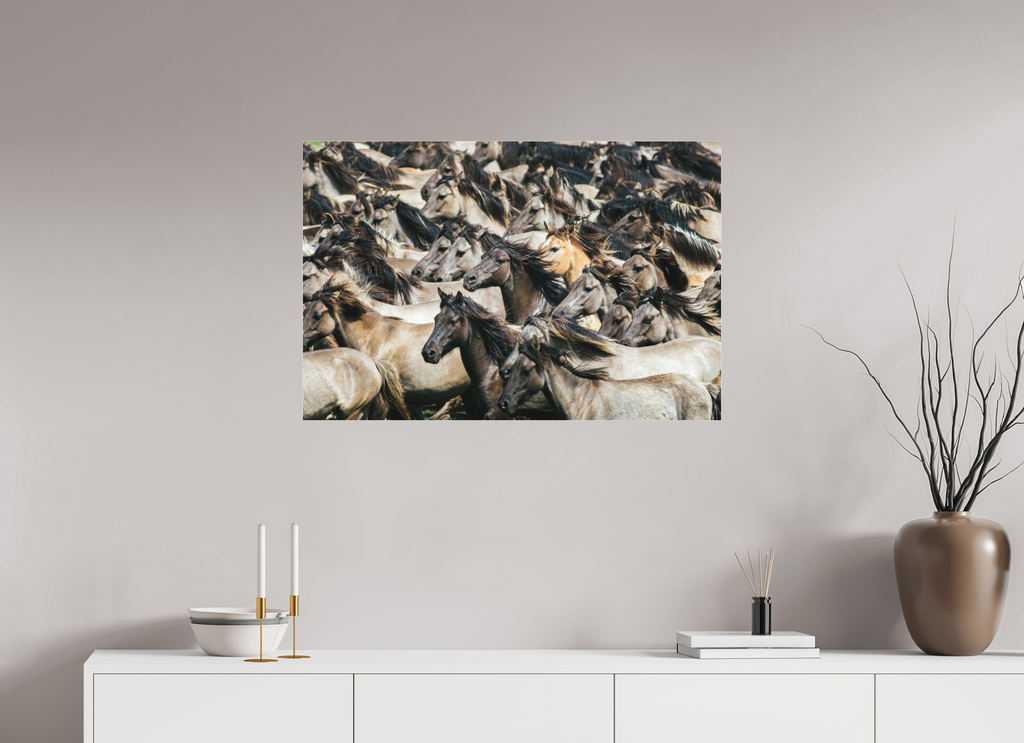 90 x 60 cm, Foto-Abzug hinter Acrylglas 3 mm matt Wildpferde