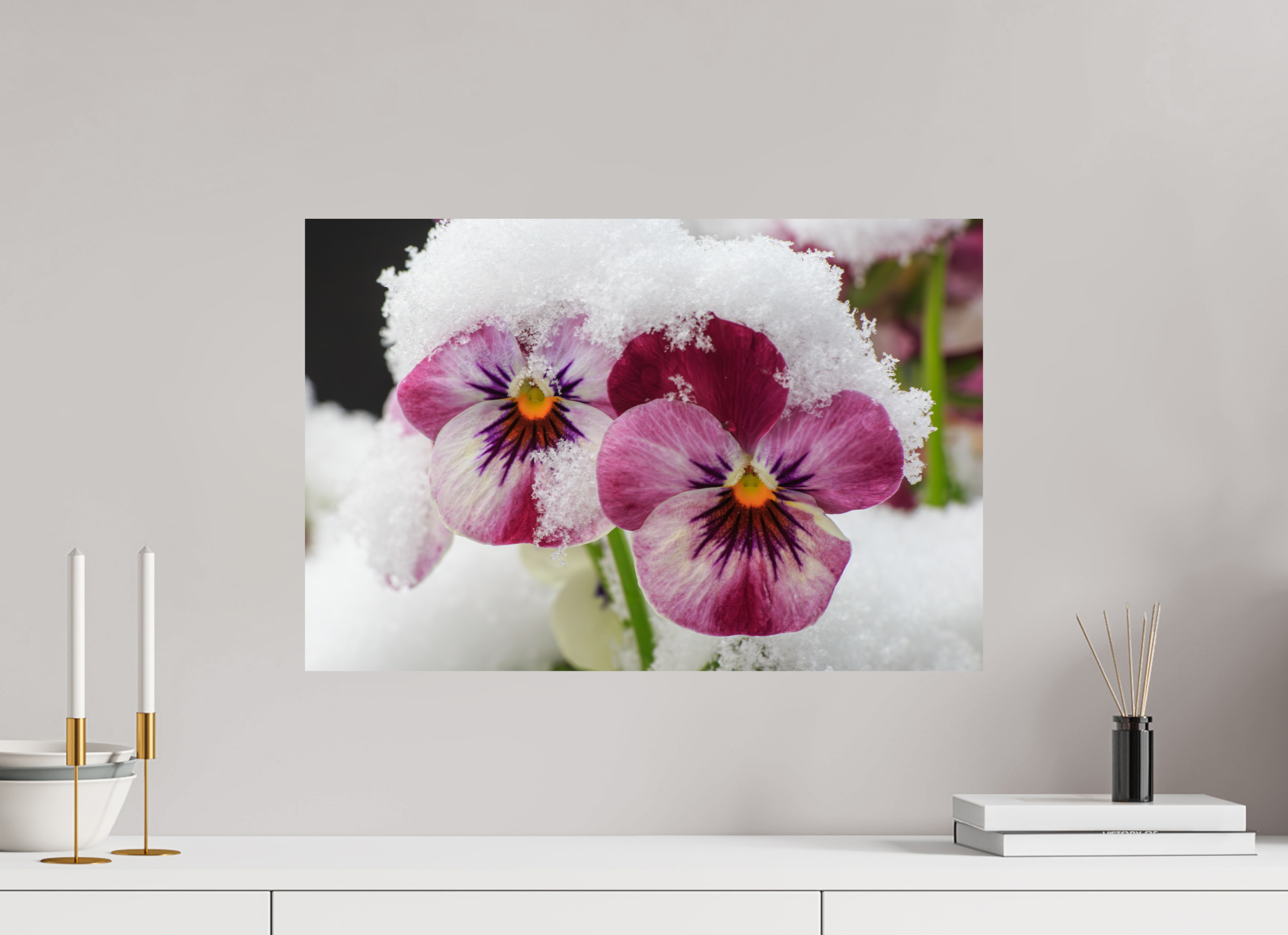 60 x 40 cm, Photo Print On Fuji Crystal DP II Winterzauber: Veilchenblüte mit glitzernden Eiskristallen