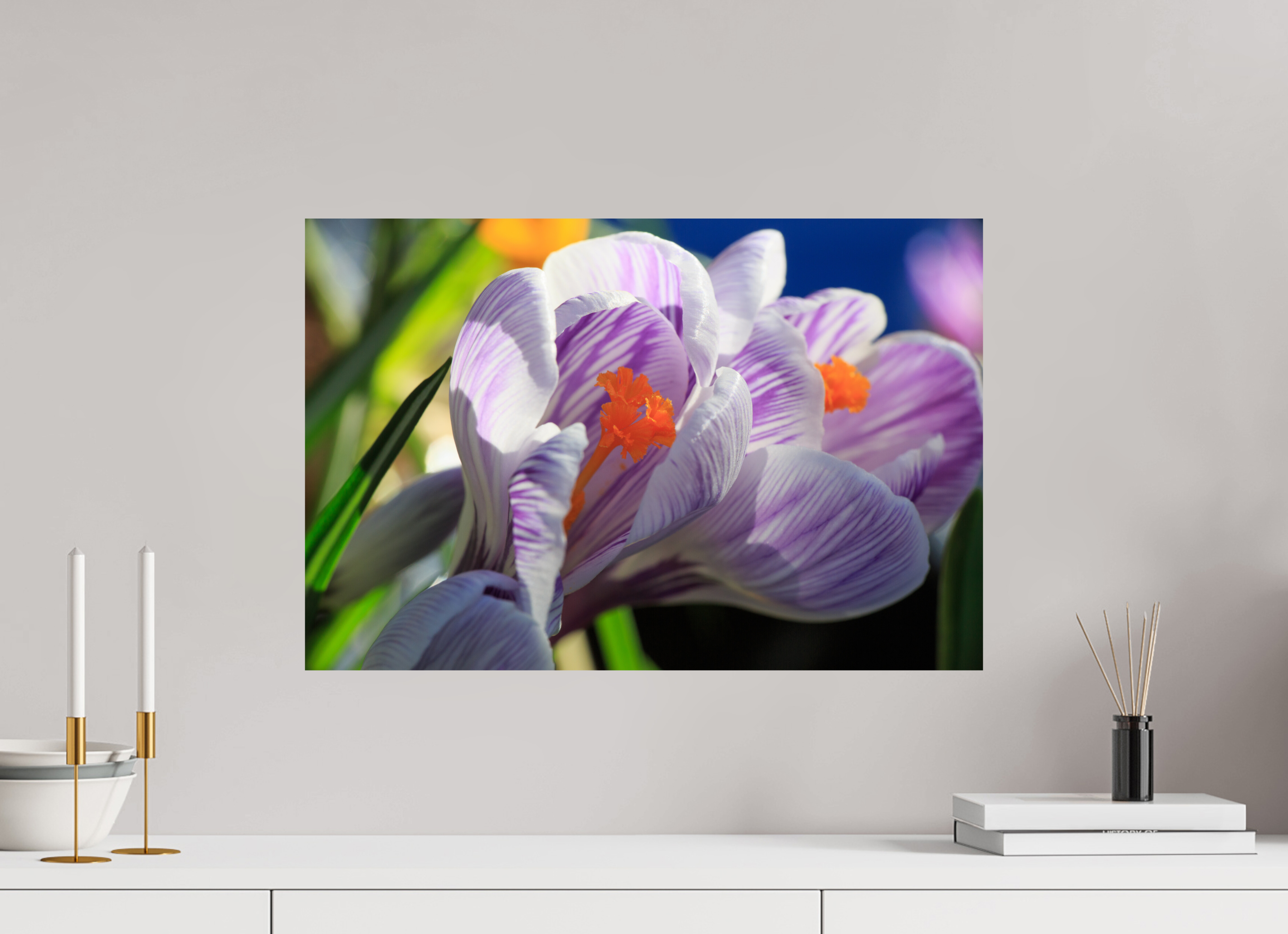 60 x 40 cm, Photo Print On Fuji Crystal DP II Im Sonnenkuss: Krokusblüte im leuchtenden Lichtspiel