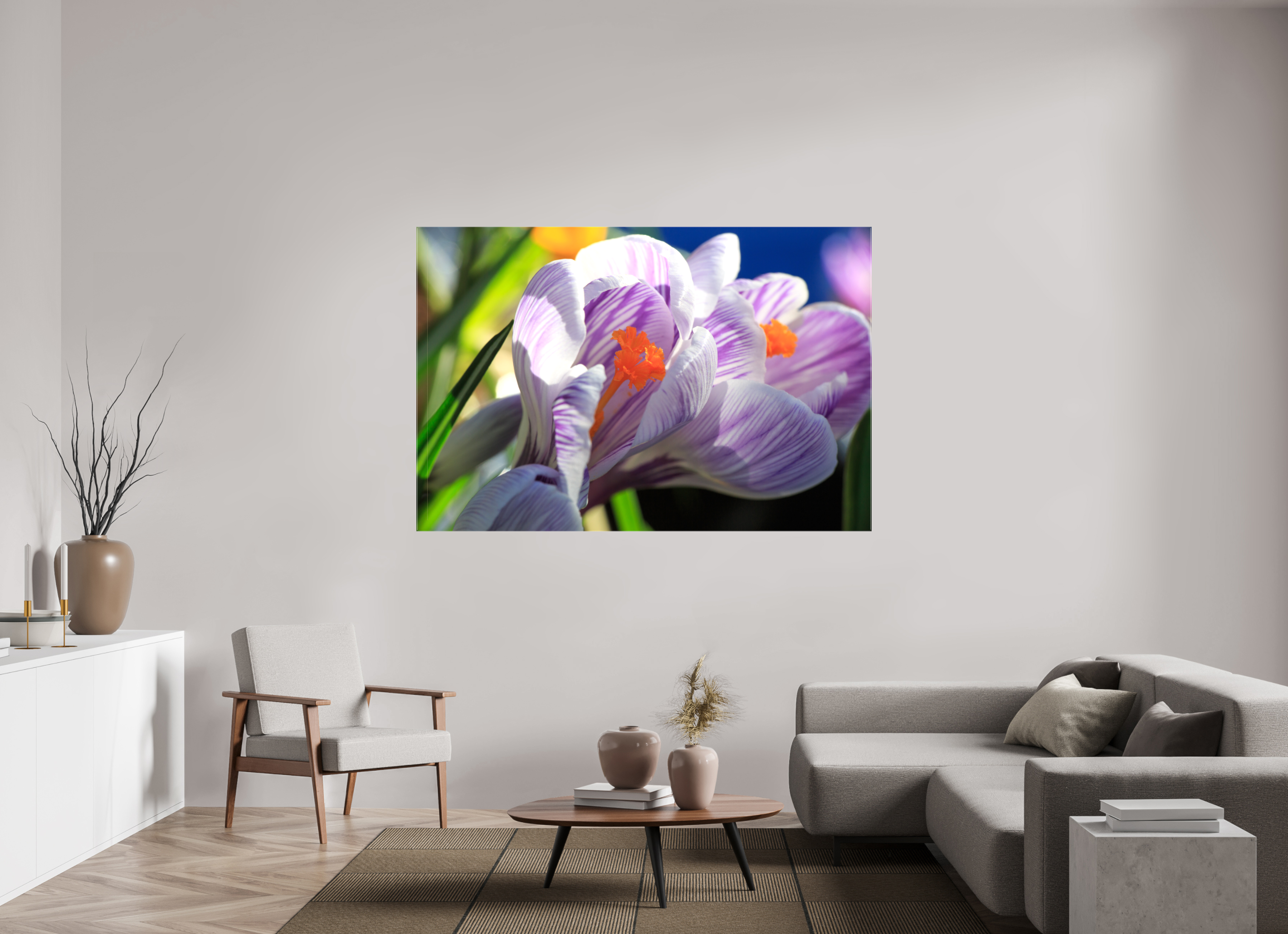 180 x 120 cm, Foto Leinwand glänzend Im Sonnenkuss: Krokusblüte im leuchtenden Lichtspiel