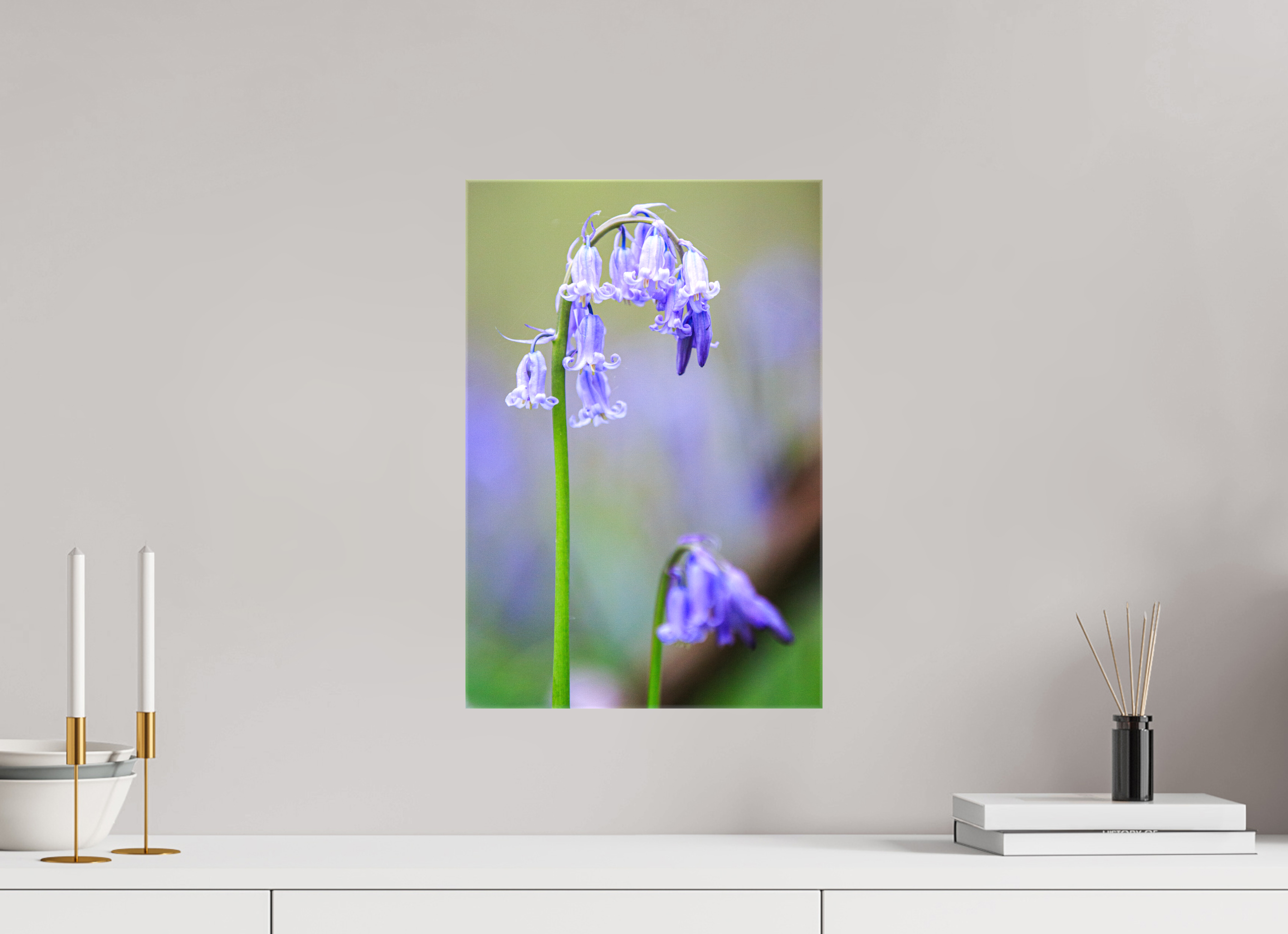 30 x 45 cm, Foto Leinwand glänzend Zarte Poesie: Hasenglöckchen im Bokeh-Fokus