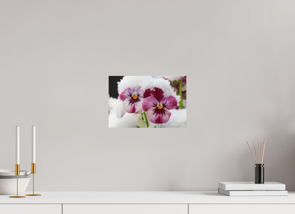 30 x 20 cm, Photo Print On Fuji Crystal DP II Winterzauber: Veilchenblüte mit glitzernden Eiskristallen