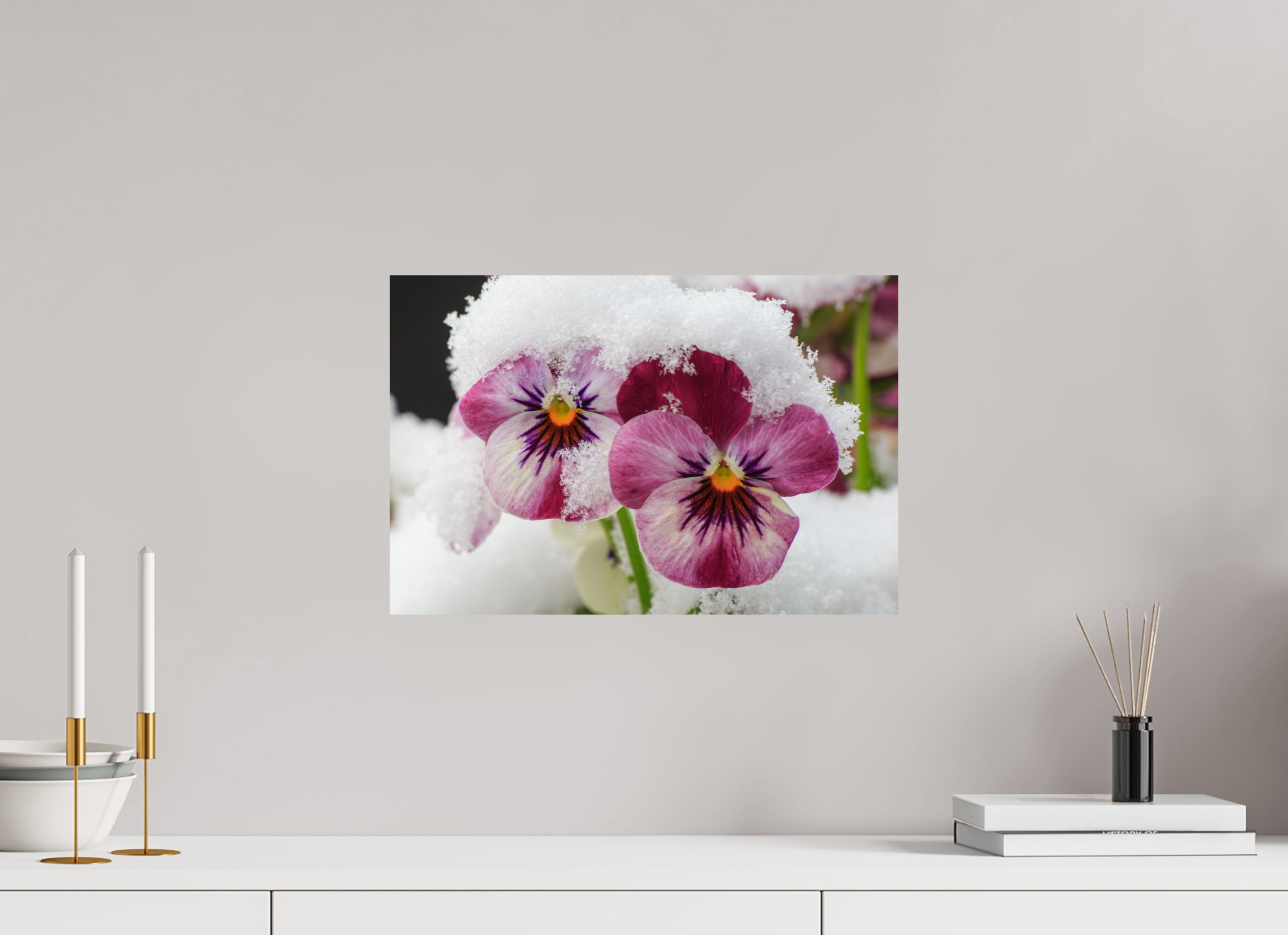 45 x 30 cm, Photo Print On Fuji Crystal DP II Winterzauber: Veilchenblüte mit glitzernden Eiskristallen