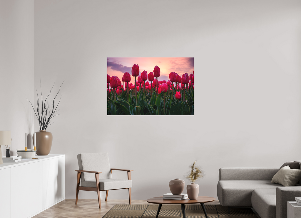 120 x 80 cm, Foto-Abzug hinter Acrylglas 3 mm matt Glutrot am Horizont: Magie des Tulpenfelds im Abendlicht