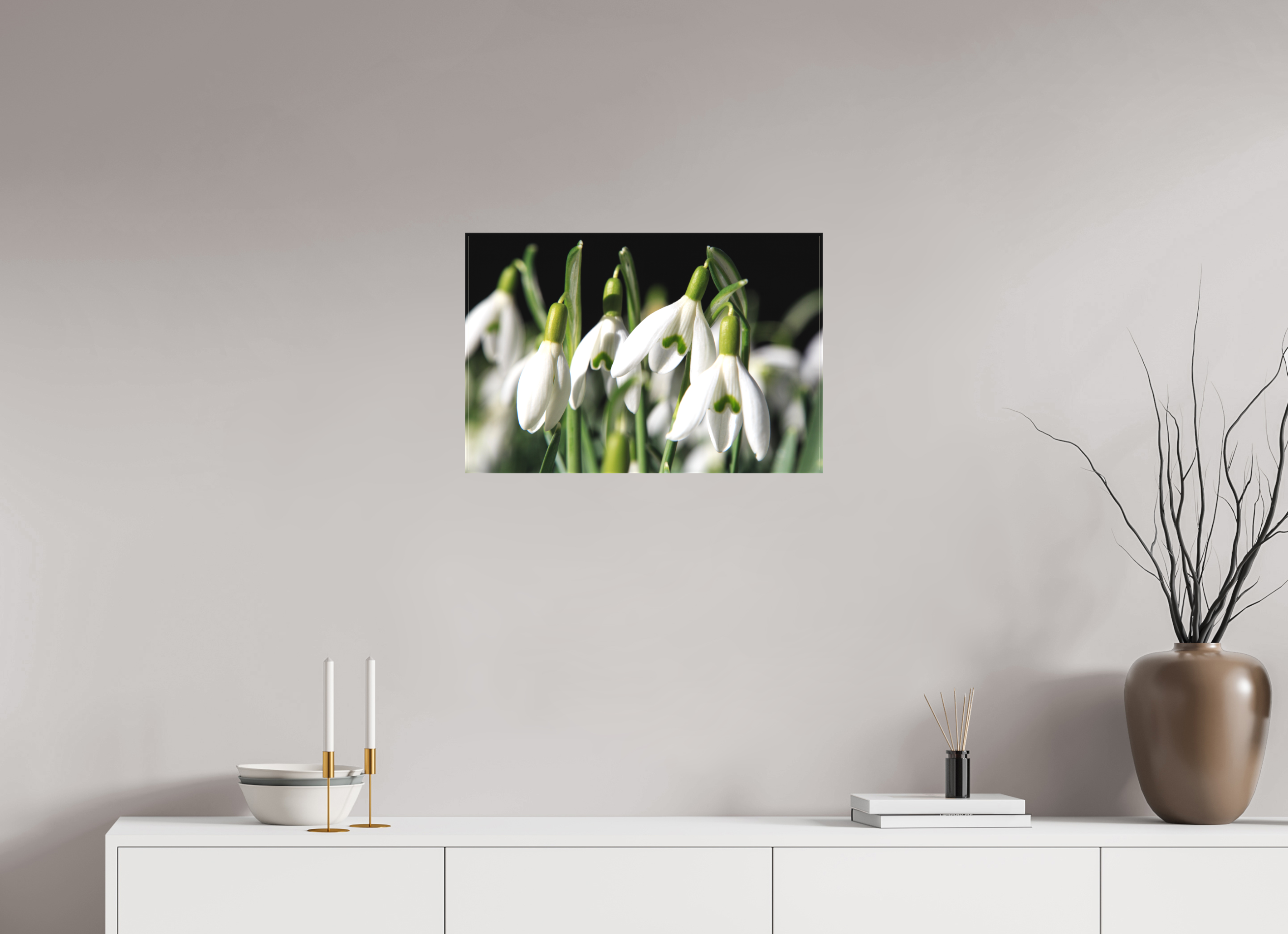 60 x 40 cm, Foto-Leinwand matt Schneeglöckchen – Erste Frühlingsboten