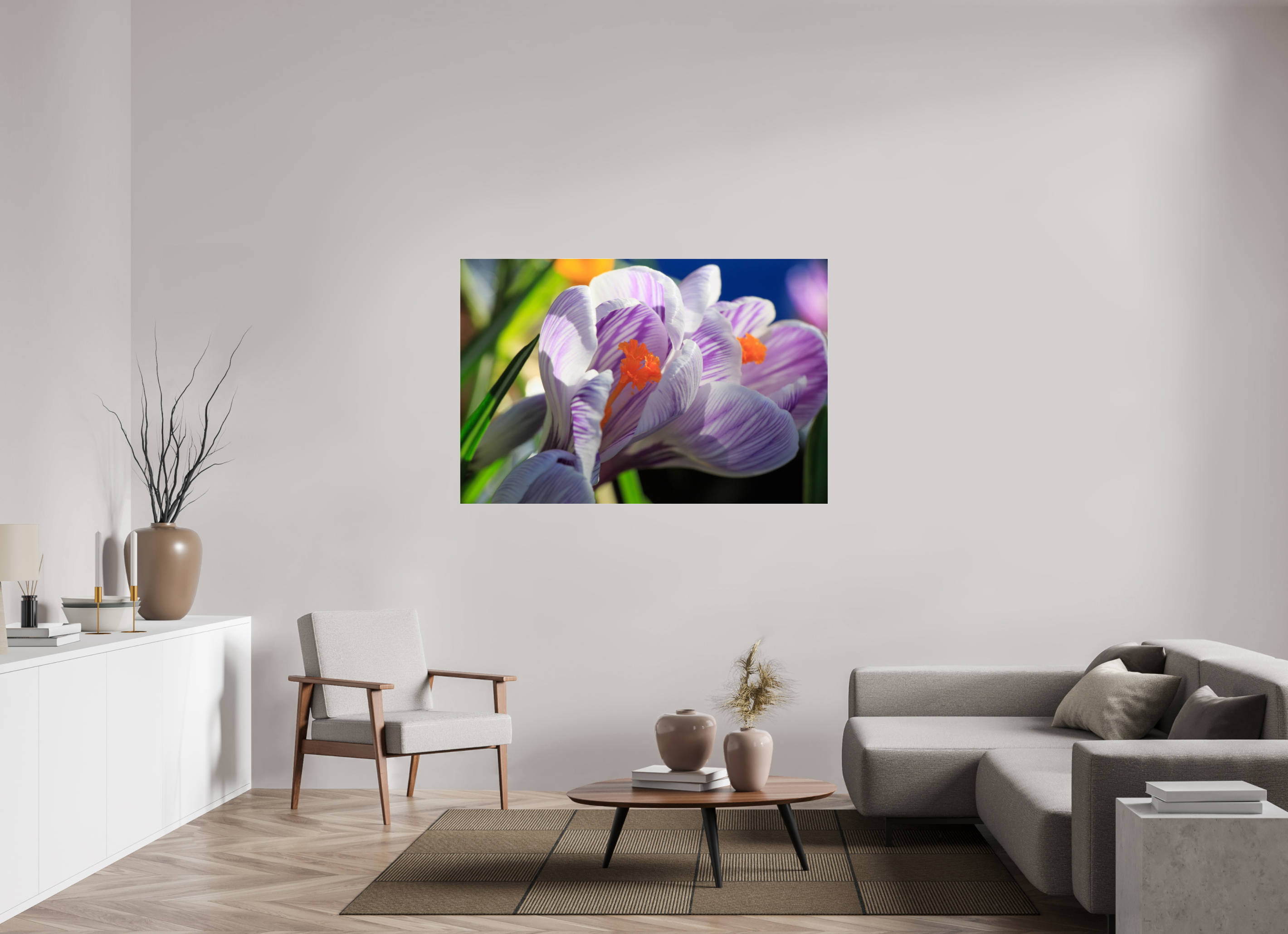 150 x 100 cm, Foto-Abzug Acrylglas 4 mm glänzend Im Sonnenkuss: Krokusblüte im leuchtenden Lichtspiel