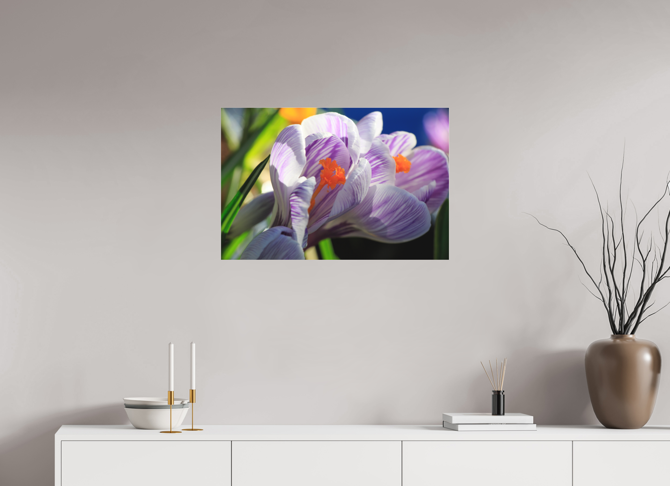 75 x 50 cm, Foto-Abzug hinter Acrylglas 3 mm matt Im Sonnenkuss: Krokusblüte im leuchtenden Lichtspiel