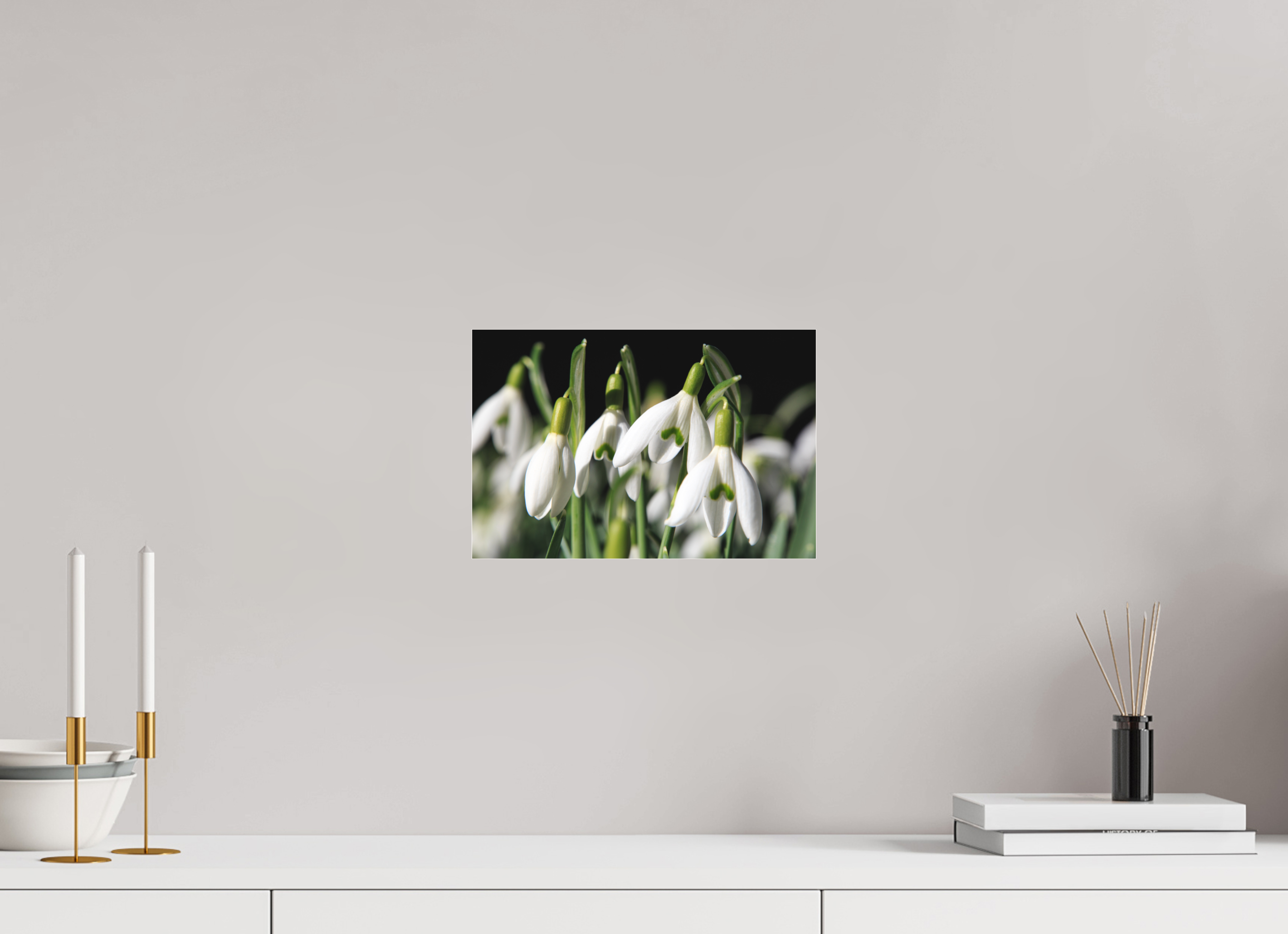 30 x 20 cm, Foto-Abzug hinter Acrylglas 3 mm matt Schneeglöckchen – Erste Frühlingsboten