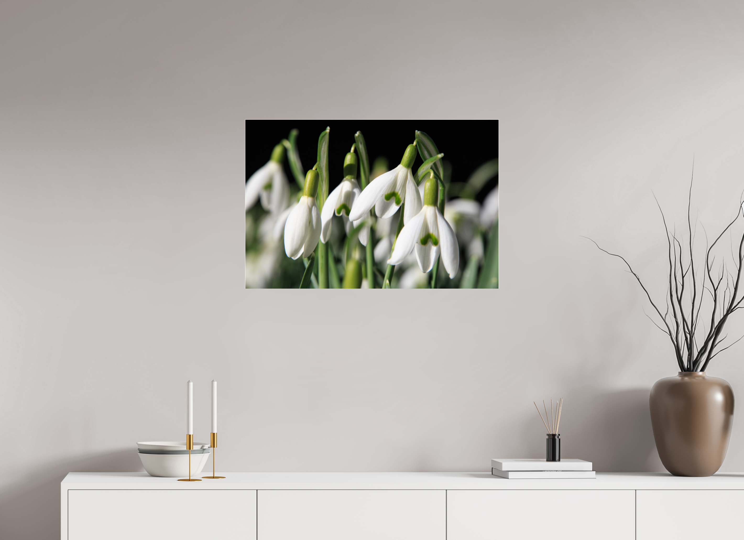 75 x 50 cm, Foto-Abzug Acrylglas 4 mm glänzend Schneeglöckchen – Erste Frühlingsboten