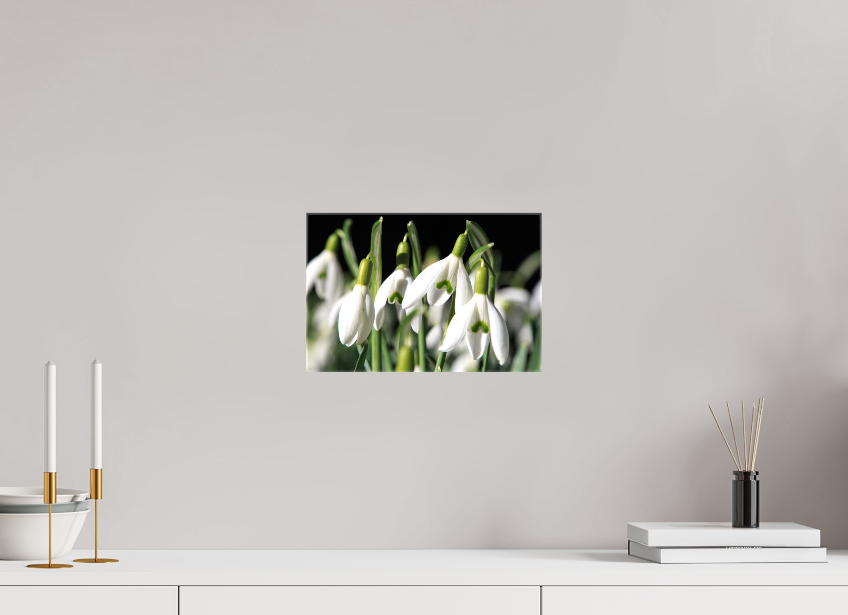 30 x 20 cm, Foto Leinwand glänzend Schneeglöckchen – Erste Frühlingsboten