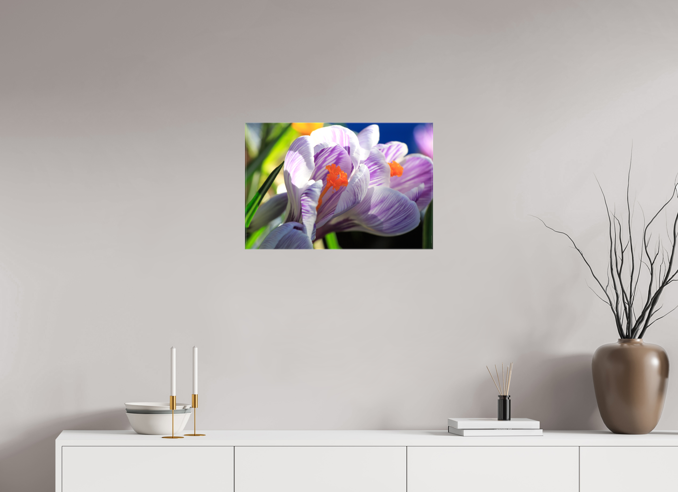 60 x 40 cm, Foto Leinwand glänzend Im Sonnenkuss: Krokusblüte im leuchtenden Lichtspiel