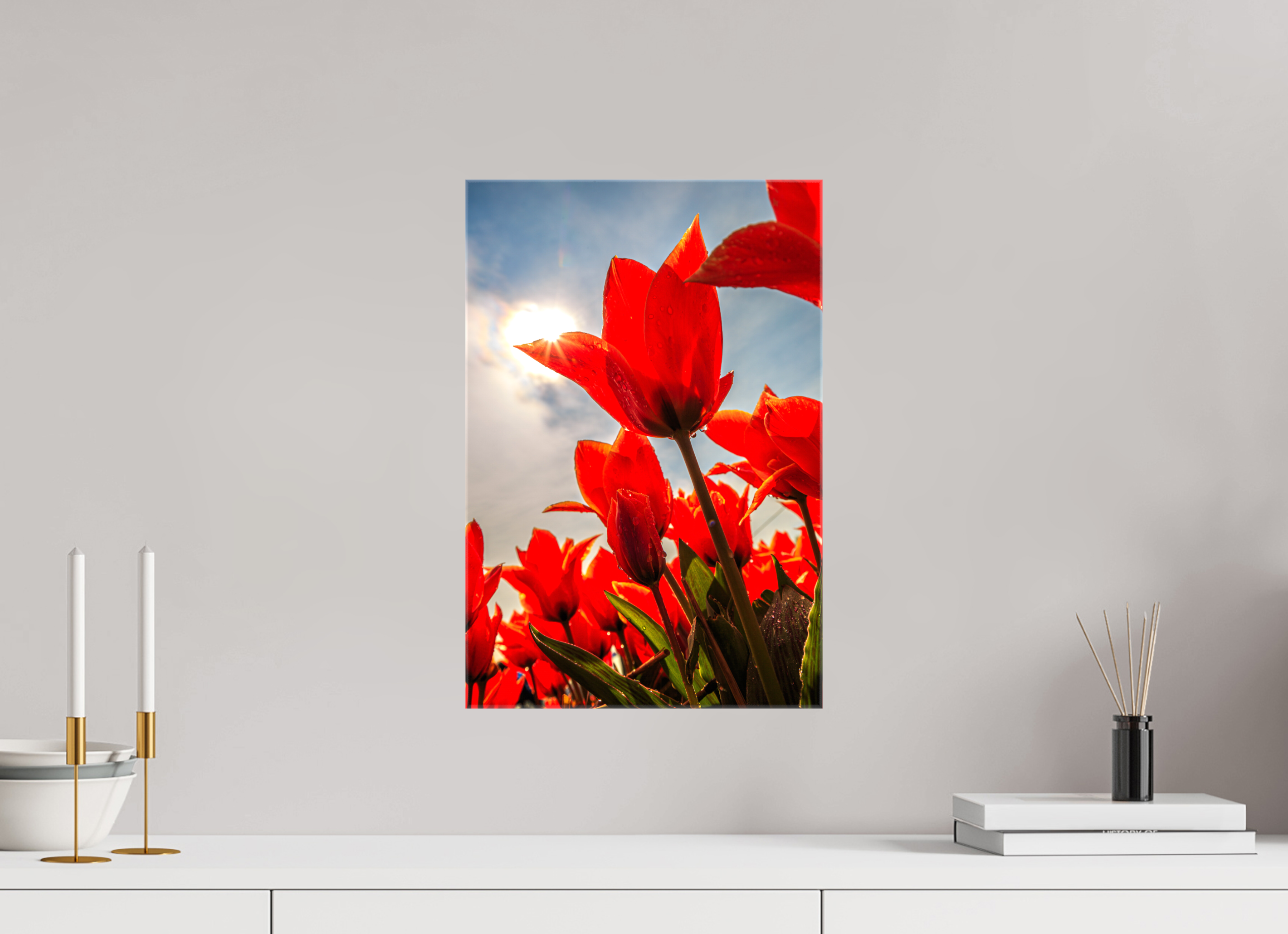 30 x 45 cm, Foto Leinwand glänzend Leuchtende Kelche: Offene Tulpen im Sonnenlicht