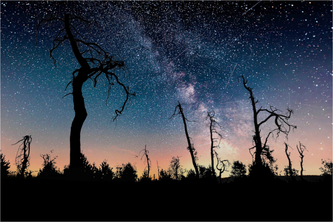 Main image Astrofotografie Hohes Venn – Milchstraße über Noir Flohay