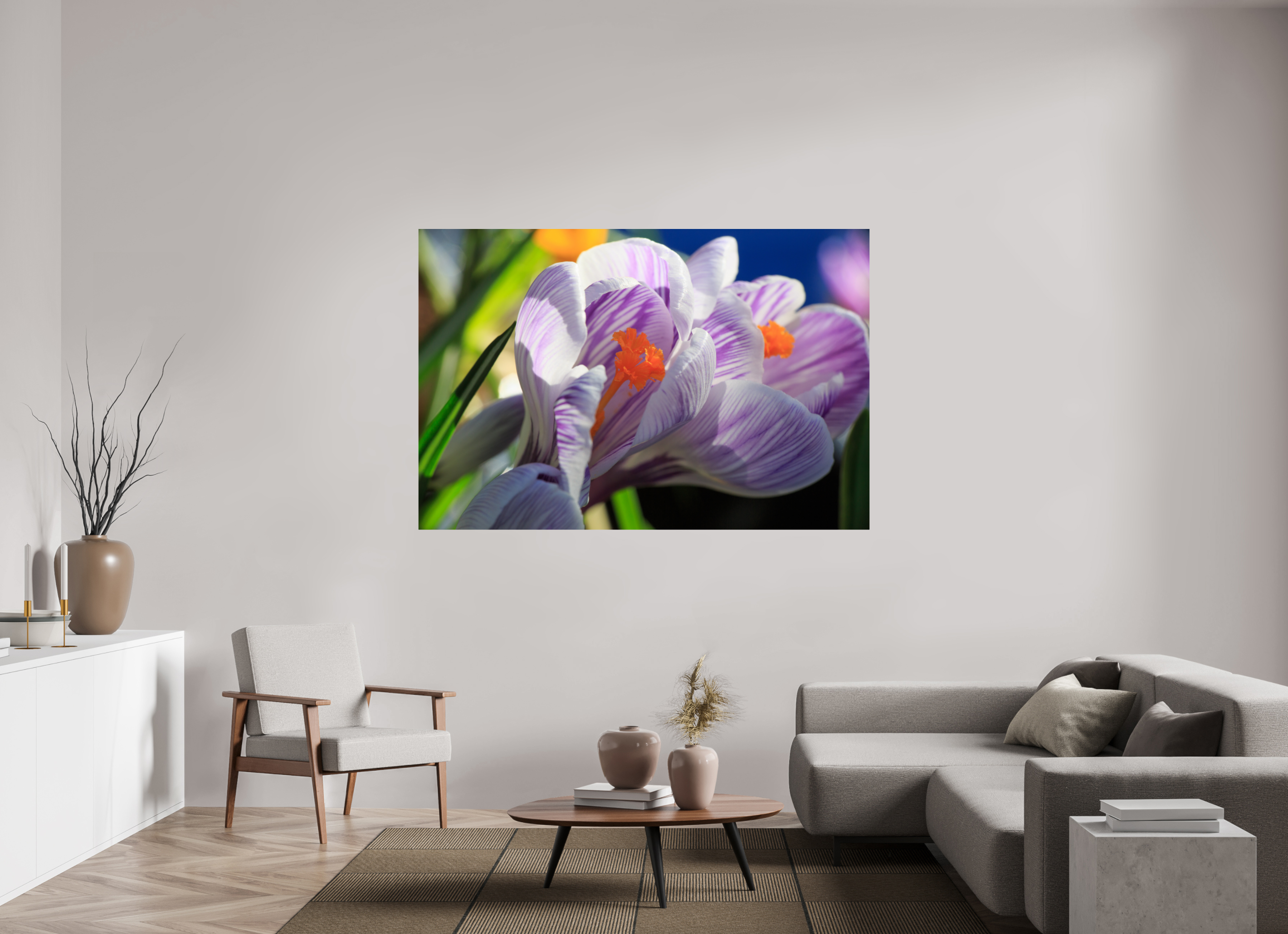 180 x 120 cm, Photo Print On Fuji Crystal DP II Im Sonnenkuss: Krokusblüte im leuchtenden Lichtspiel