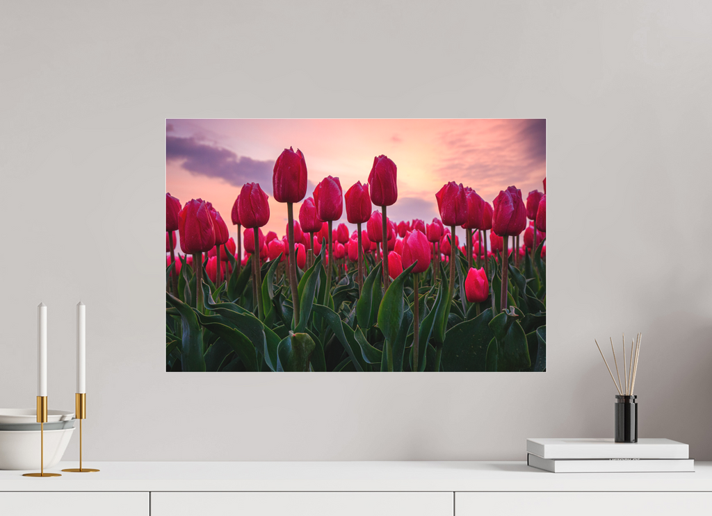 60 x 40 cm, Foto-Abzug hinter Acrylglas 3 mm matt Glutrot am Horizont: Magie des Tulpenfelds im Abendlicht