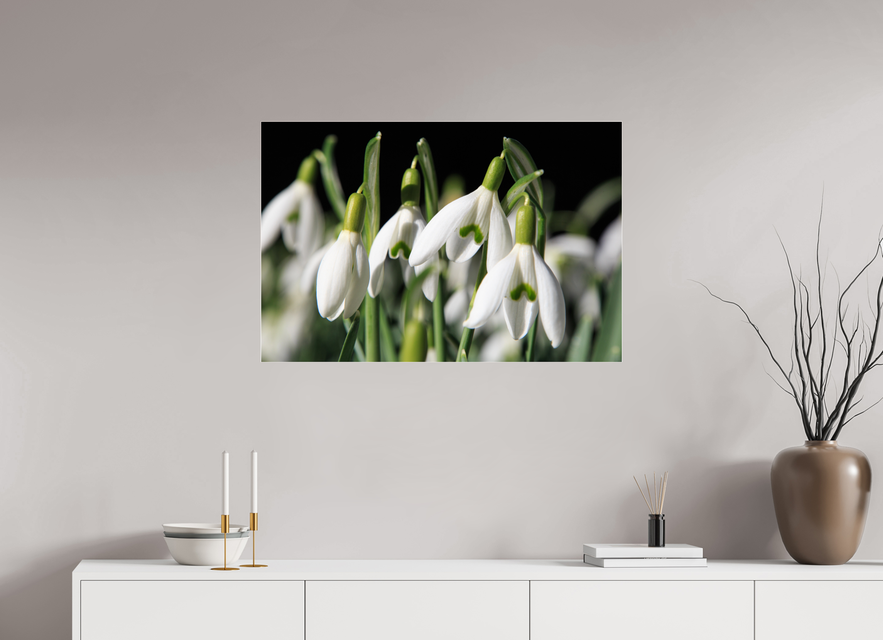 90 x 60 cm, Foto-Abzug Acrylglas 4 mm glänzend Schneeglöckchen – Erste Frühlingsboten