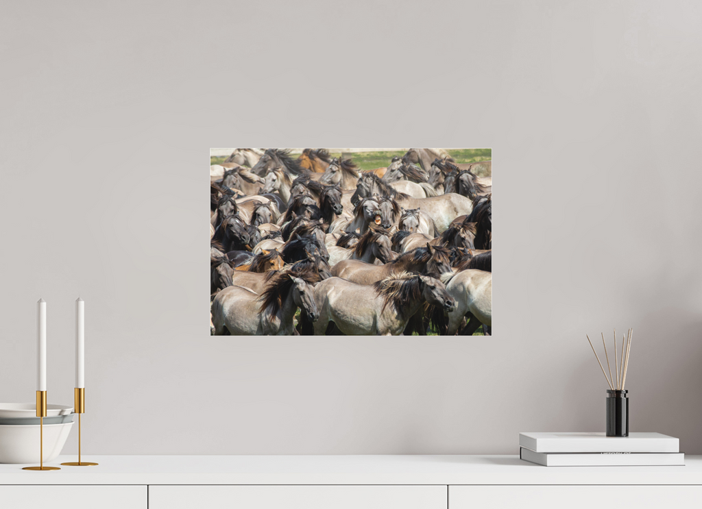 45 x 30 cm, Foto-Abzug hinter Acrylglas 3 mm matt Wieherndes Wildpferd