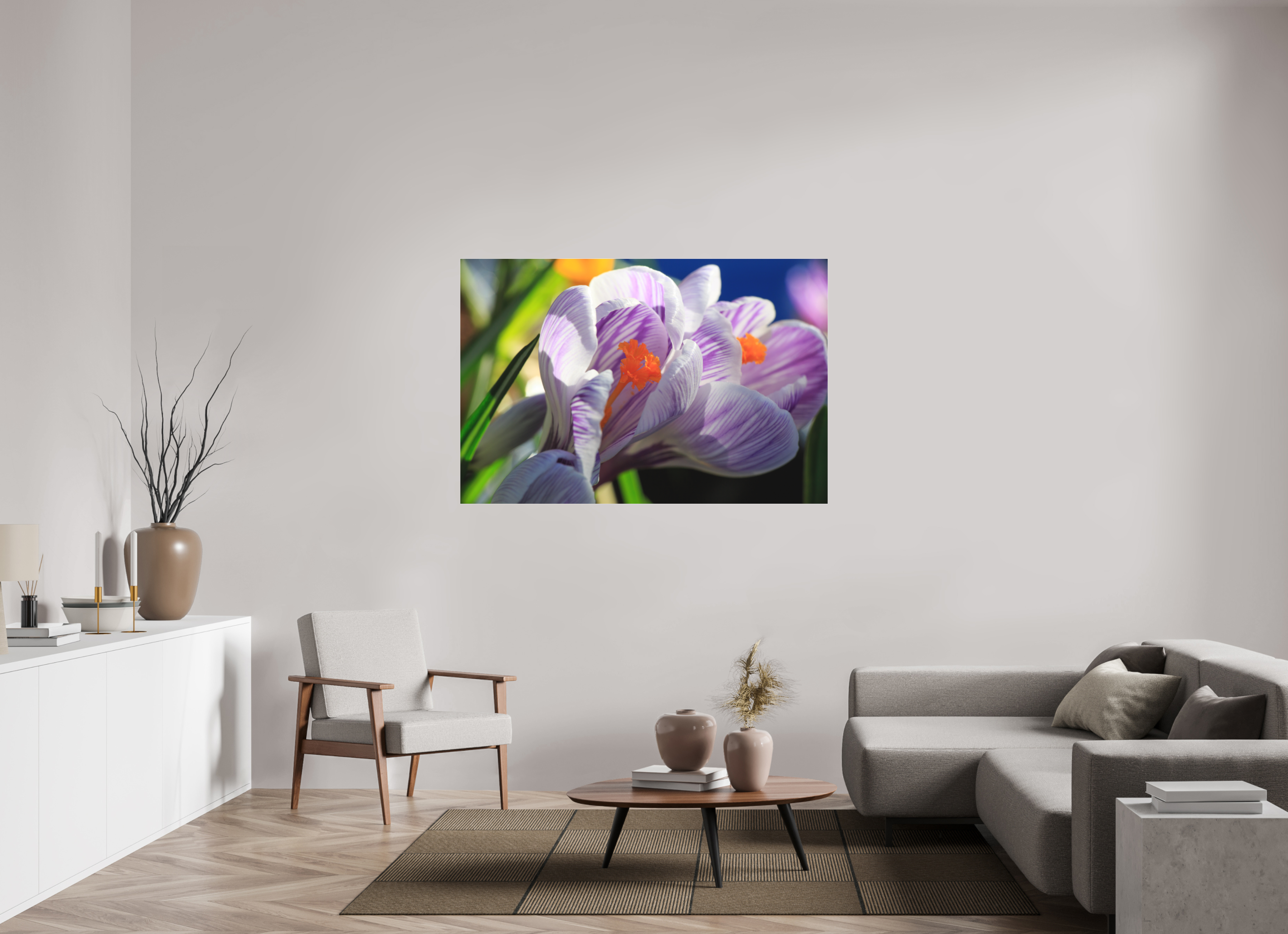 150 x 100 cm, Foto-Abzug hinter Acrylglas 3 mm matt Im Sonnenkuss: Krokusblüte im leuchtenden Lichtspiel