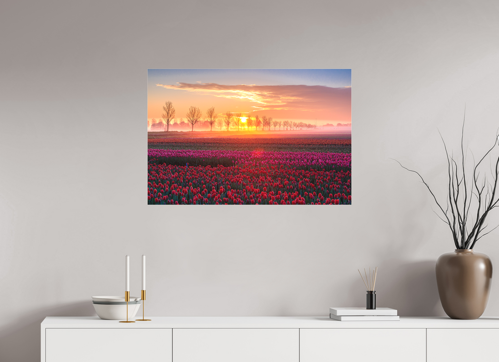 90 x 60 cm, Foto-Abzug hinter Acrylglas 3 mm matt Sonnenaufgang über dem Tulpfenfeld