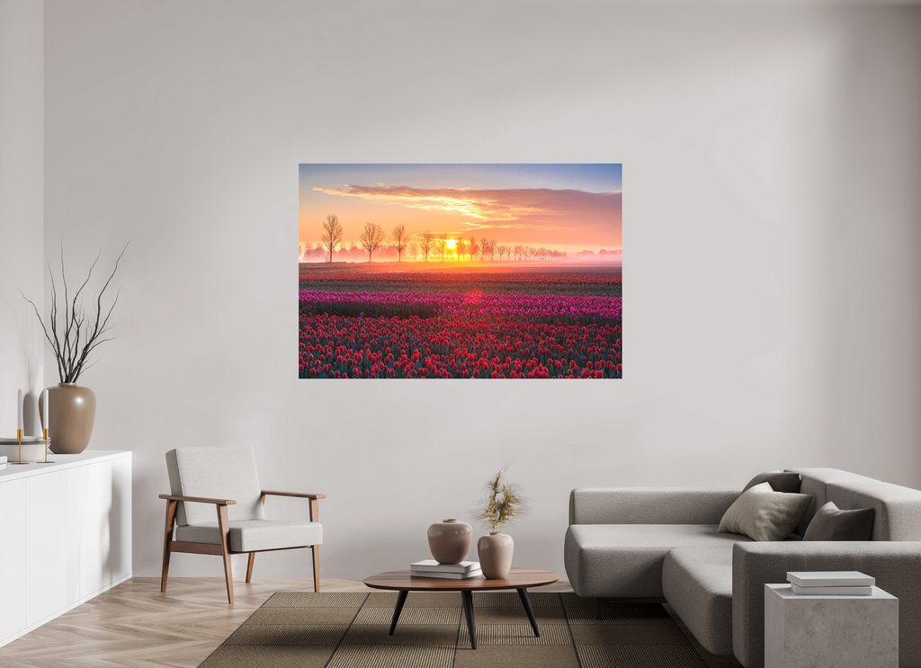 180 x 120 cm, Foto-Abzug hinter Acrylglas 3 mm matt Sonnenaufgang über dem Tulpfenfeld