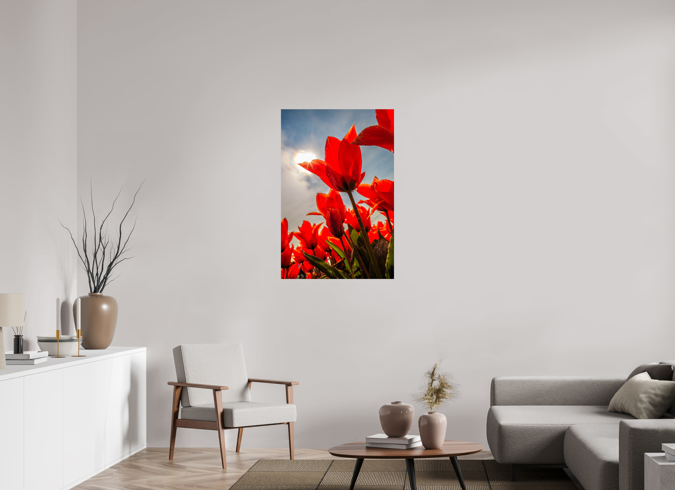 70 x 105 cm, Photo Print On Fuji Crystal DP II Leuchtende Kelche: Offene Tulpen im Sonnenlicht