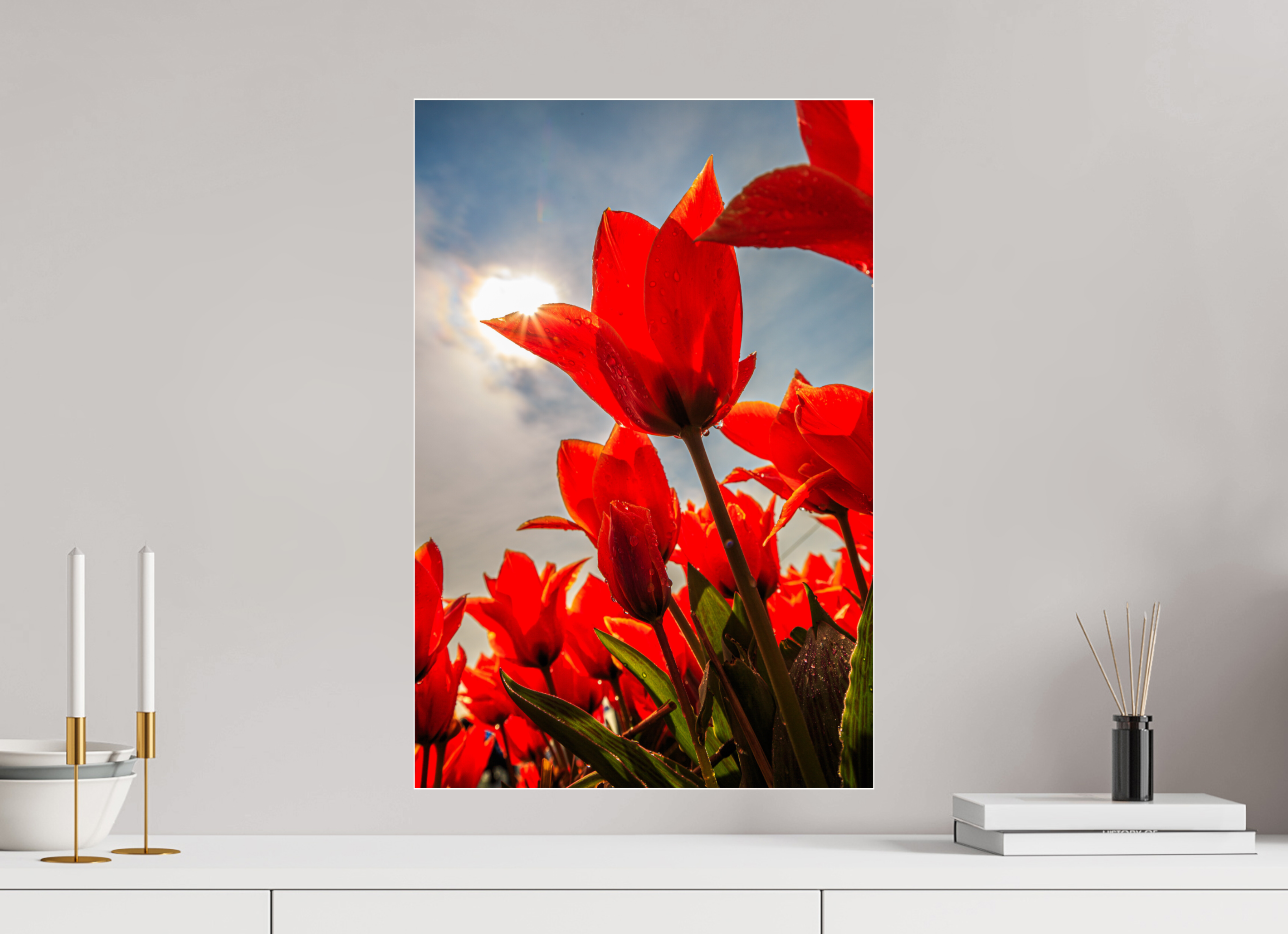 40 x 60 cm, Foto-Abzug Acrylglas 4 mm glänzend Leuchtende Kelche: Offene Tulpen im Sonnenlicht