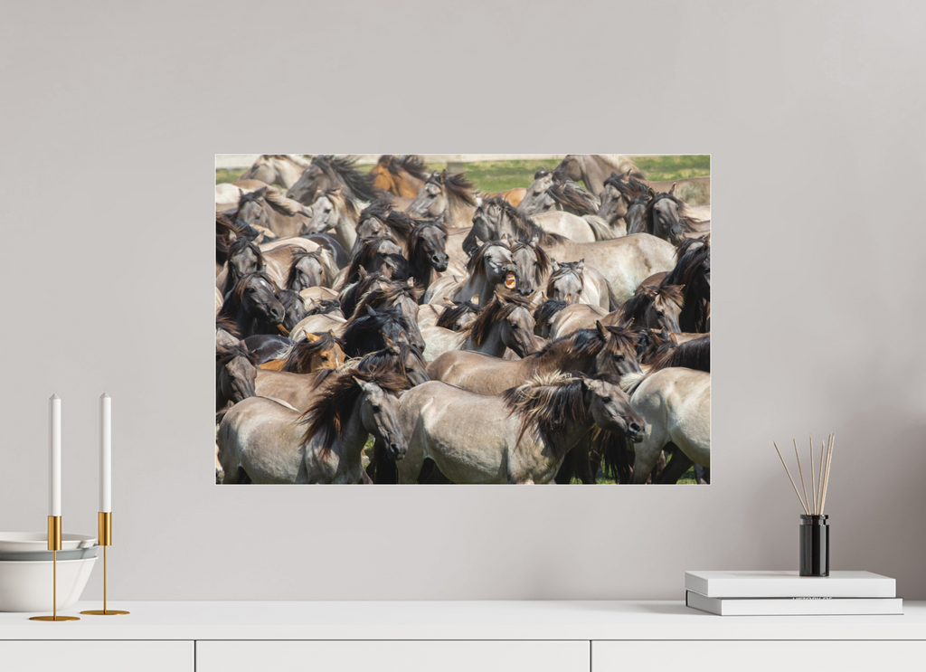 60 x 40 cm, Foto-Abzug hinter Acrylglas 3 mm matt Wieherndes Wildpferd