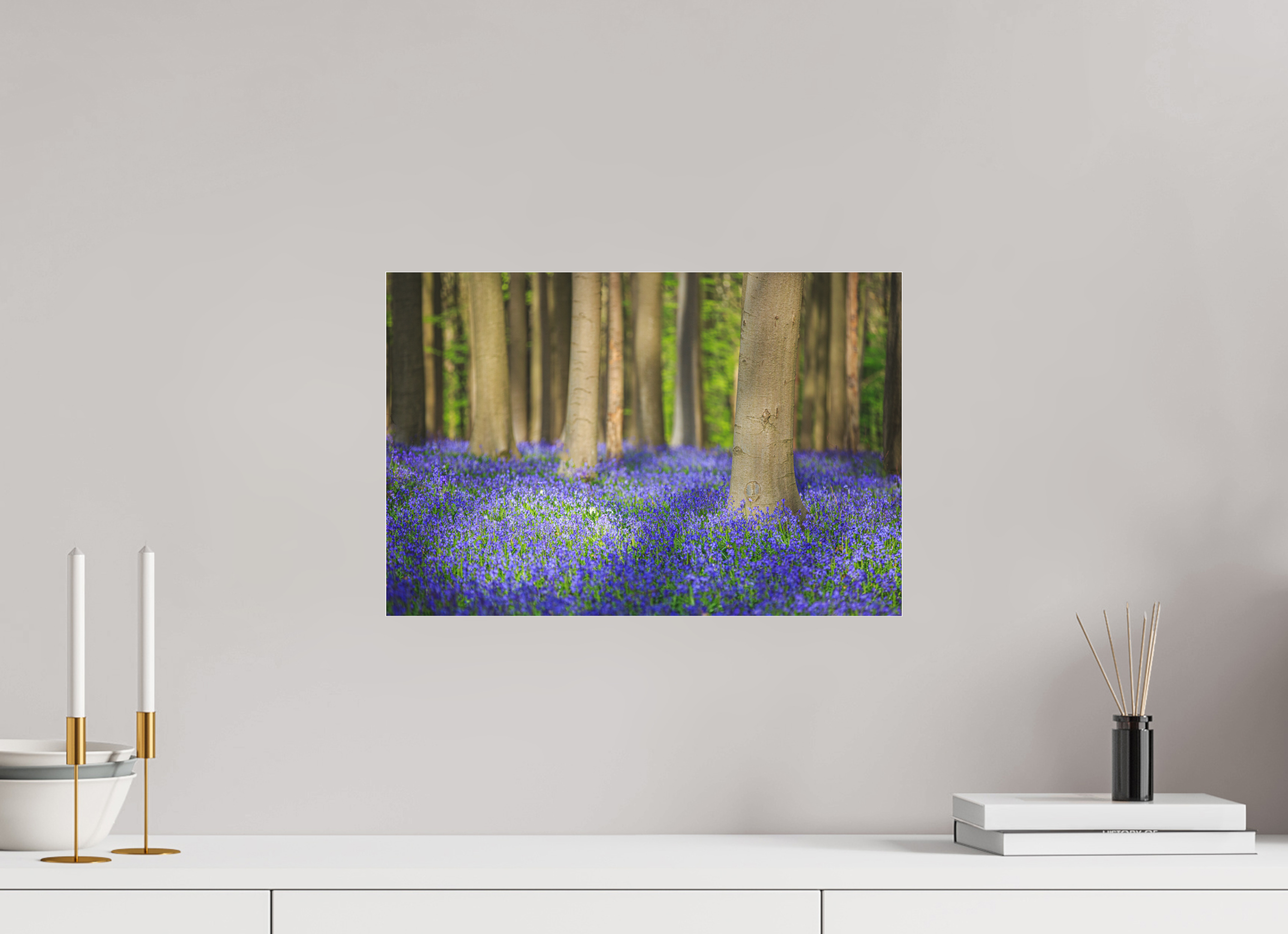 45 x 30 cm, Foto-Abzug hinter Acrylglas 3 mm matt Mystischer Frühlingswald – Tanz des Lichts über blauem Blütenmeer