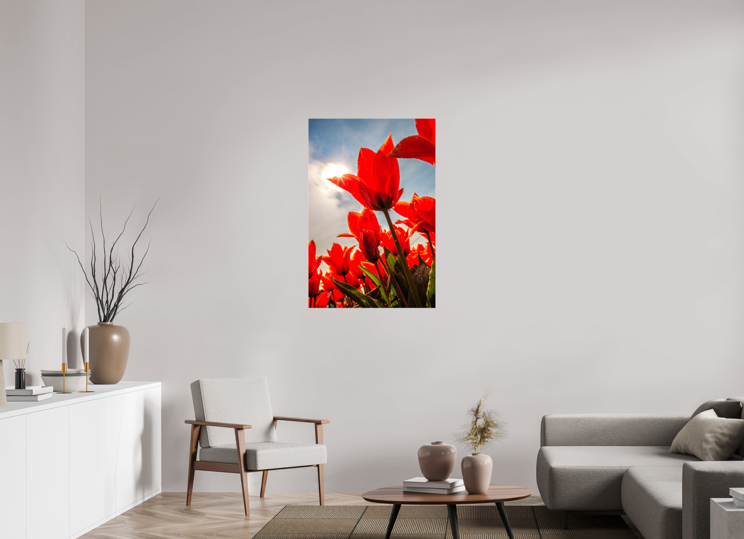 70 x 105 cm, Foto Leinwand glänzend Leuchtende Kelche: Offene Tulpen im Sonnenlicht