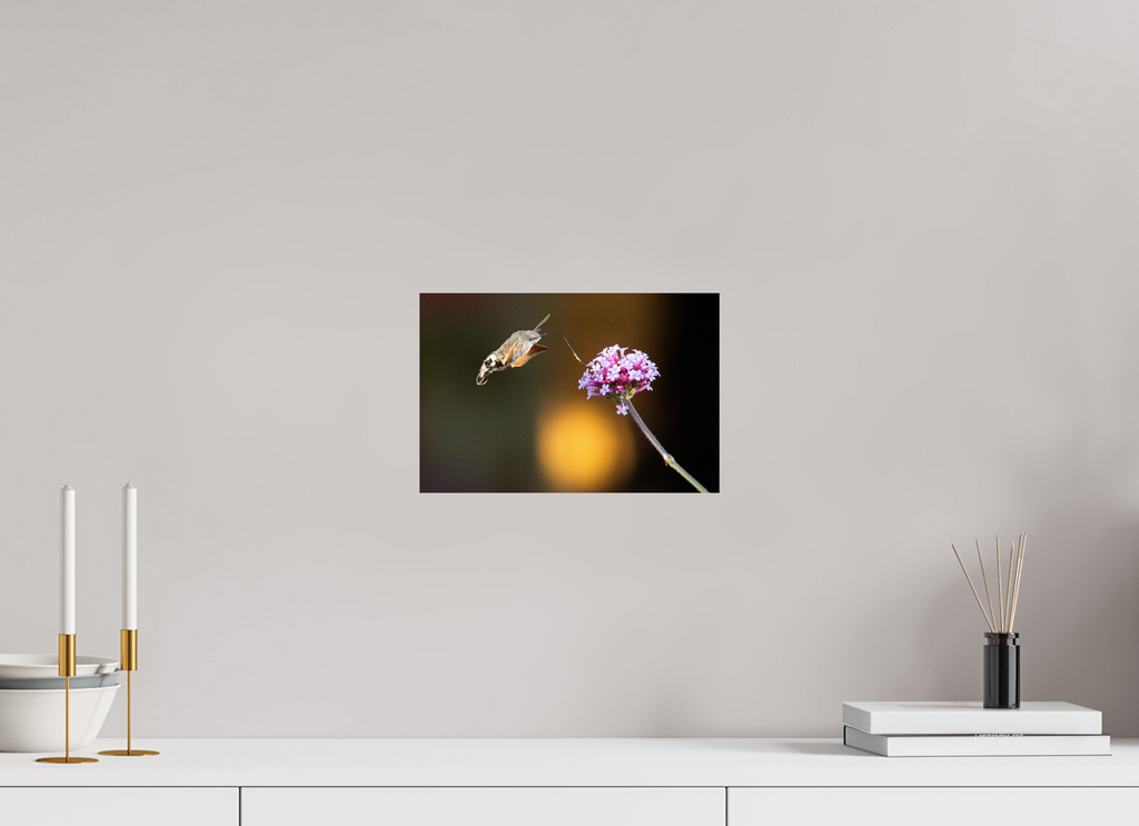 30 x 20 cm, Photo Print On Fuji Crystal DP II Taubenschwänzchen