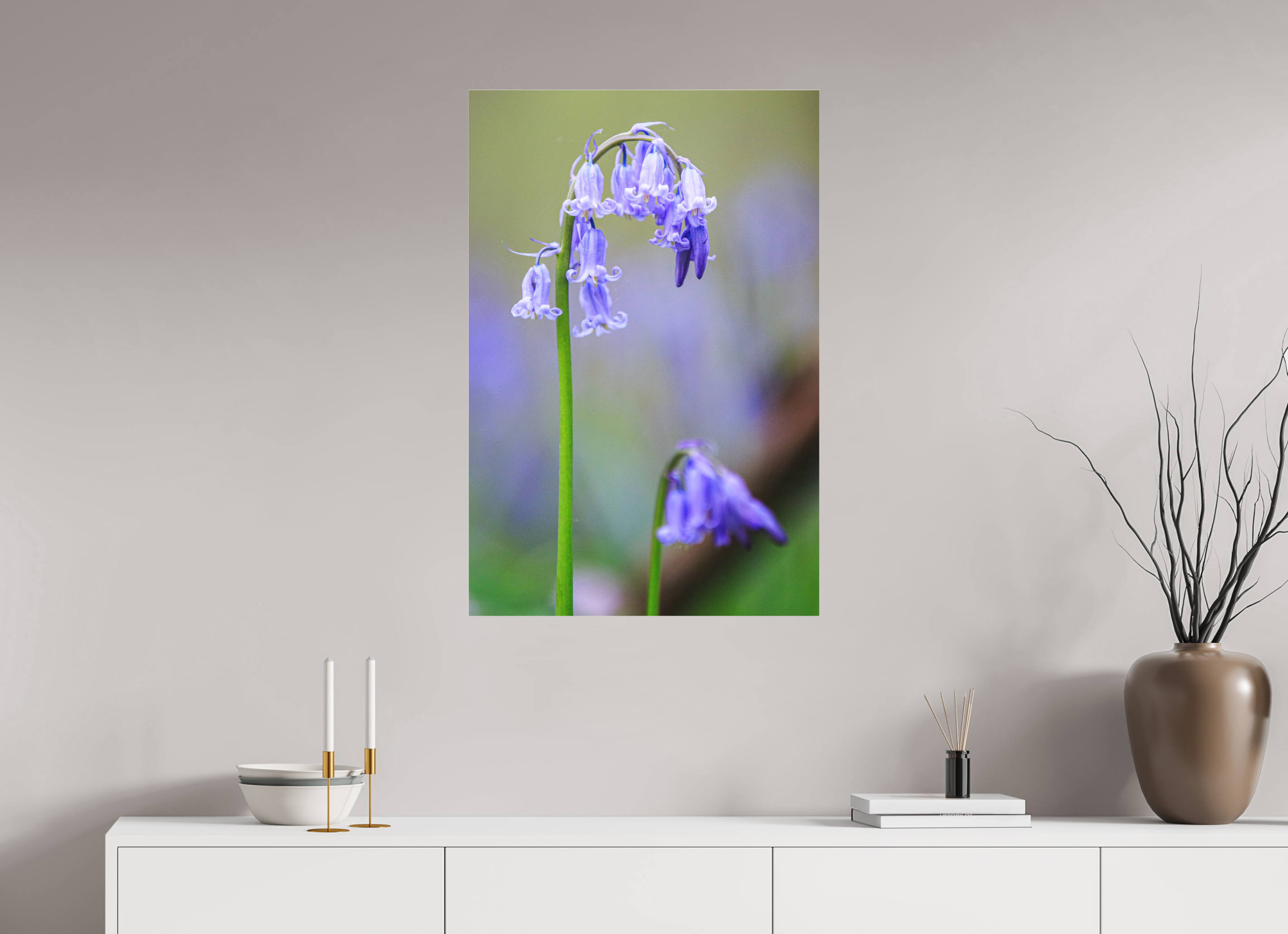 60 x 90 cm, Foto-Abzug hinter Acrylglas 3 mm matt Zarte Poesie: Hasenglöckchen im Bokeh-Fokus