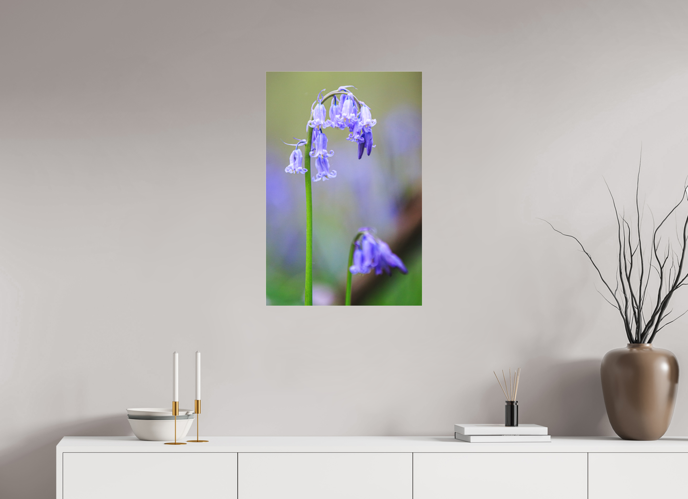 50 x 75 cm, Foto-Abzug hinter Acrylglas 3 mm matt Zarte Poesie: Hasenglöckchen im Bokeh-Fokus