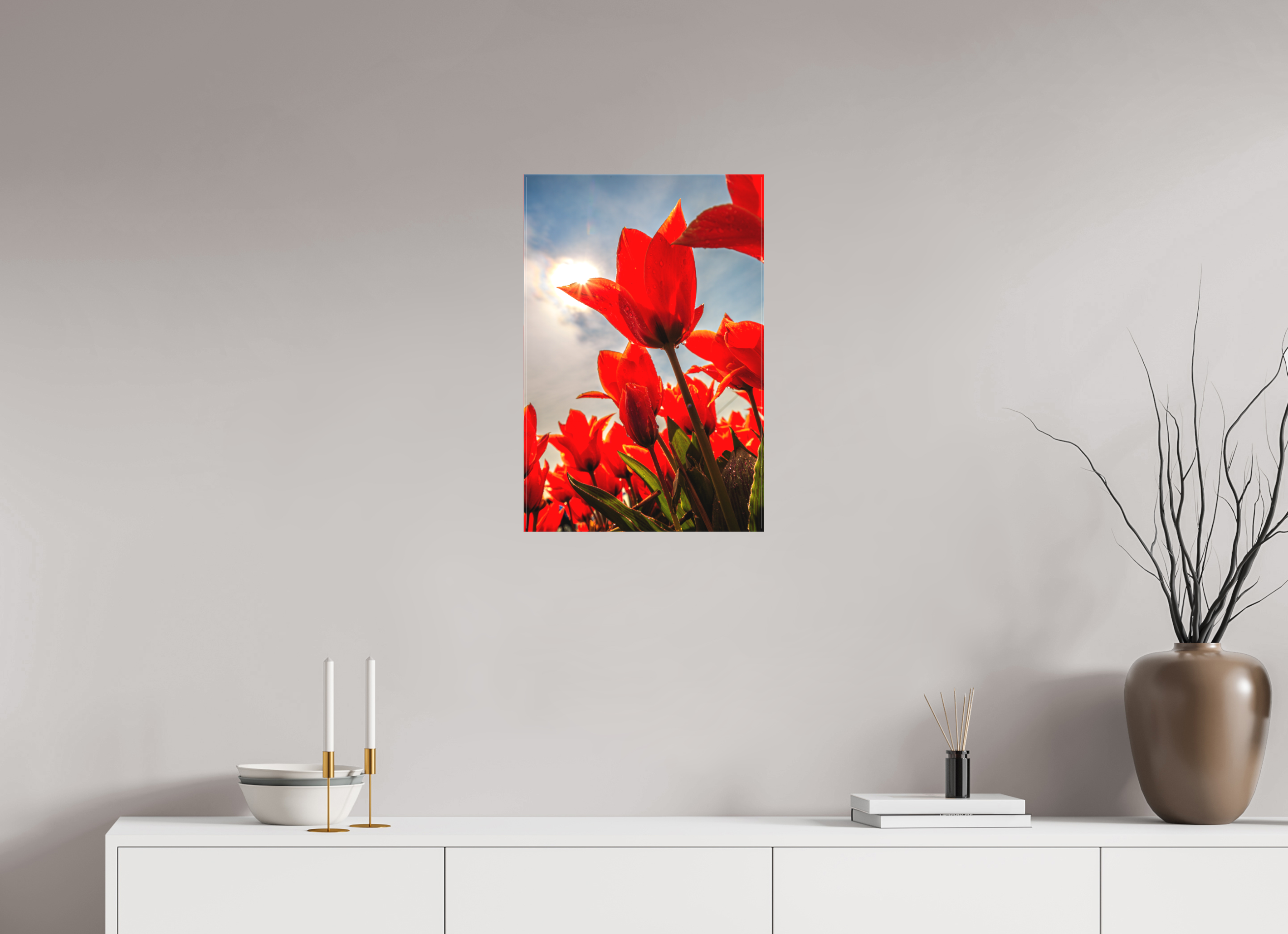 40 x 60 cm, Foto-Leinwand matt Leuchtende Kelche: Offene Tulpen im Sonnenlicht