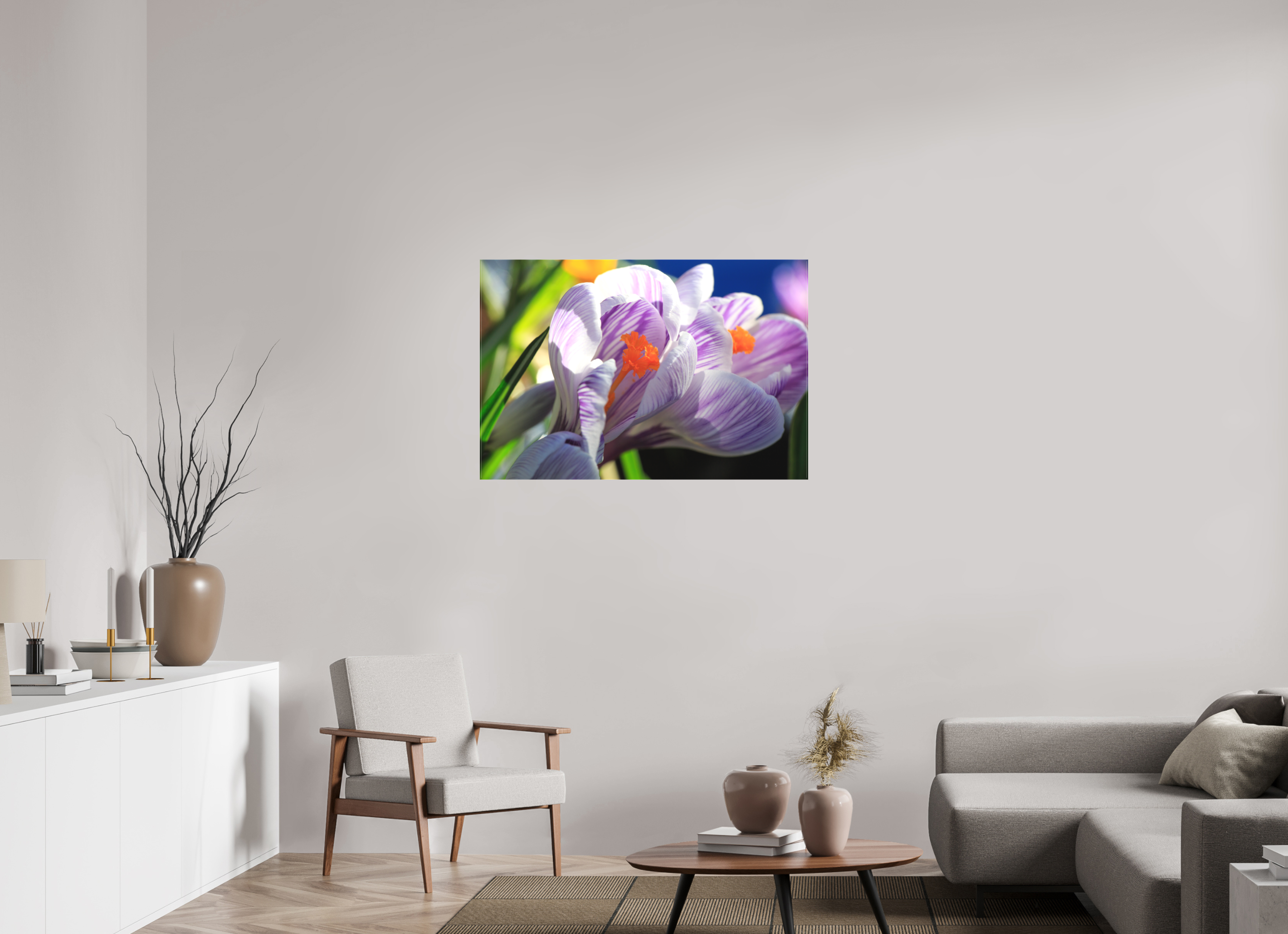 105 x 70 cm, Foto-Leinwand matt Im Sonnenkuss: Krokusblüte im leuchtenden Lichtspiel